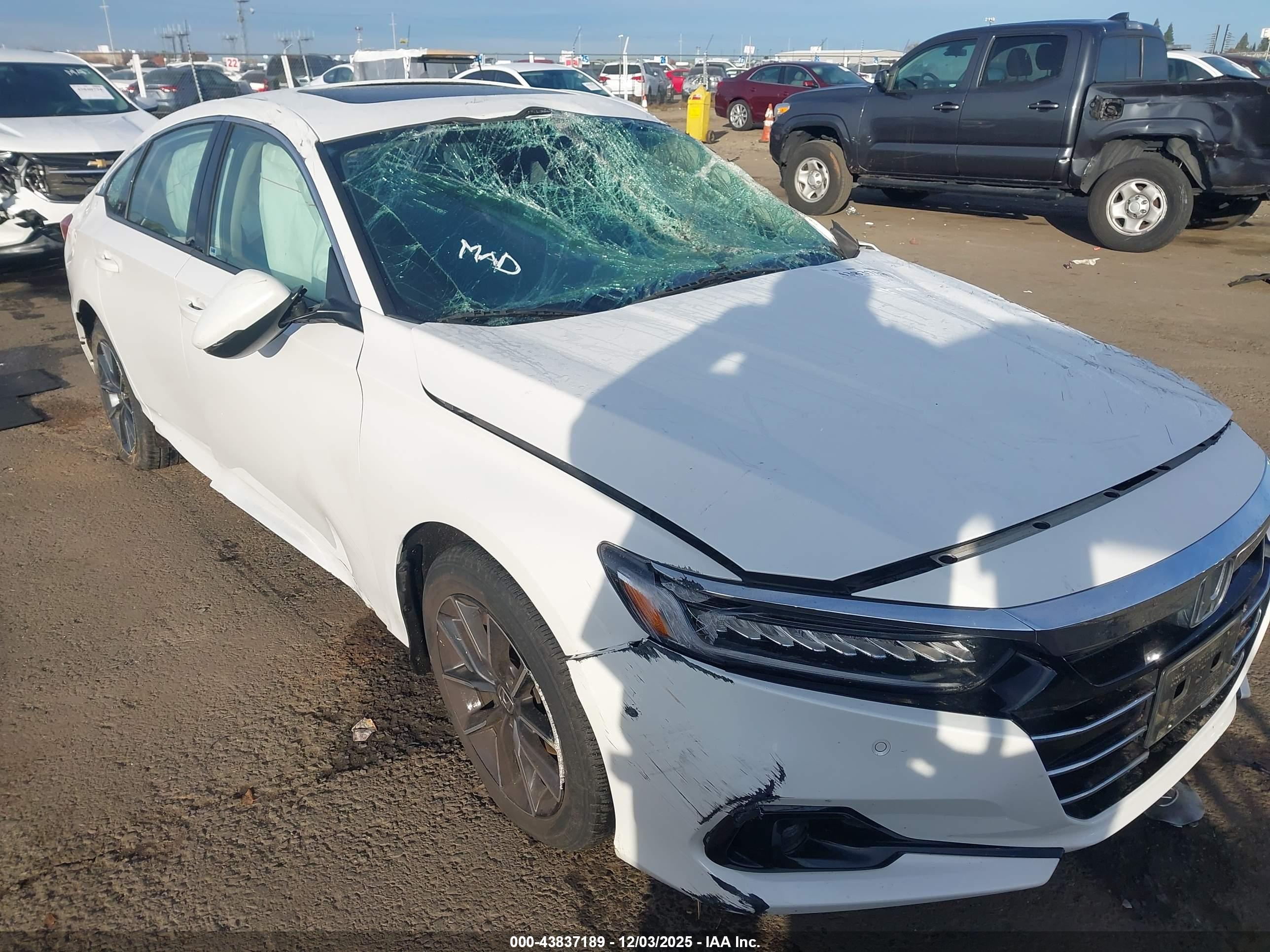 HONDA ACCORD image 6