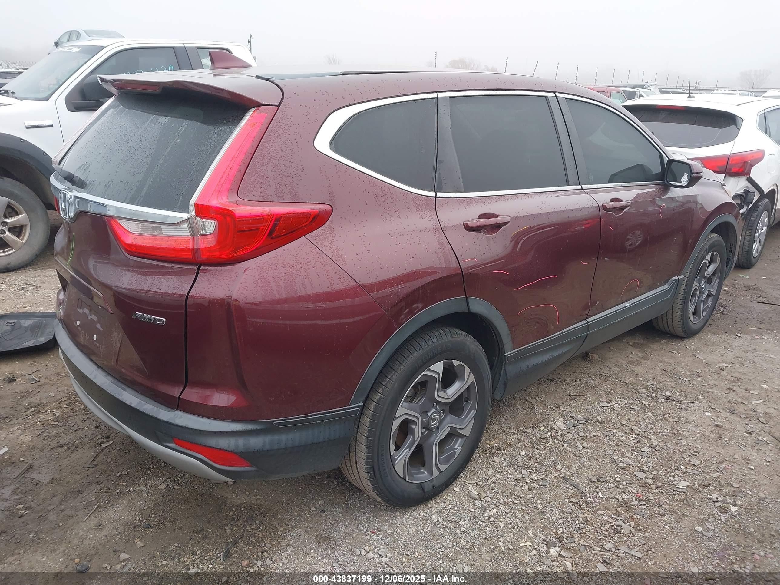 HONDA CR-V image 4