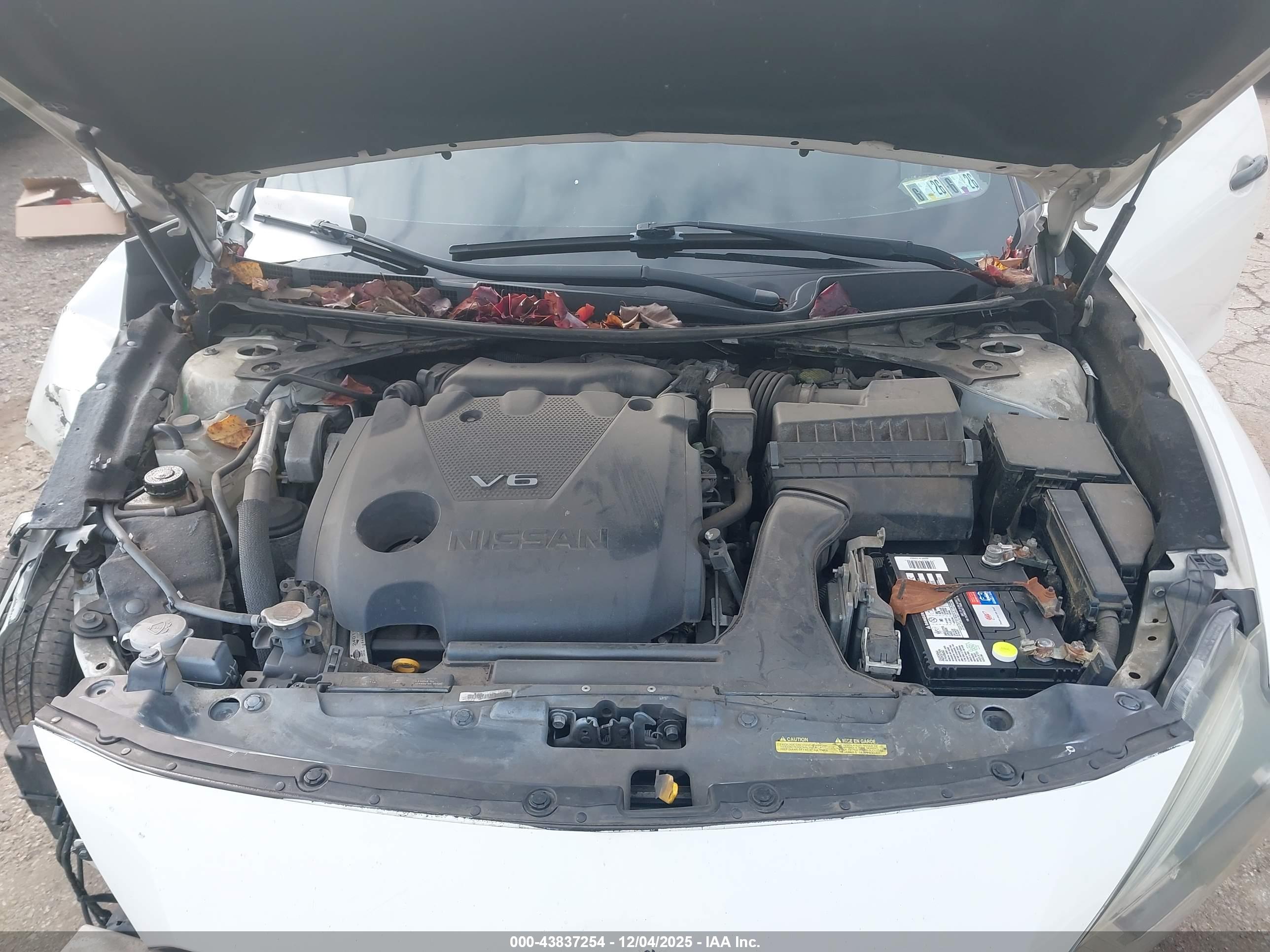 NISSAN MAXIMA image 10