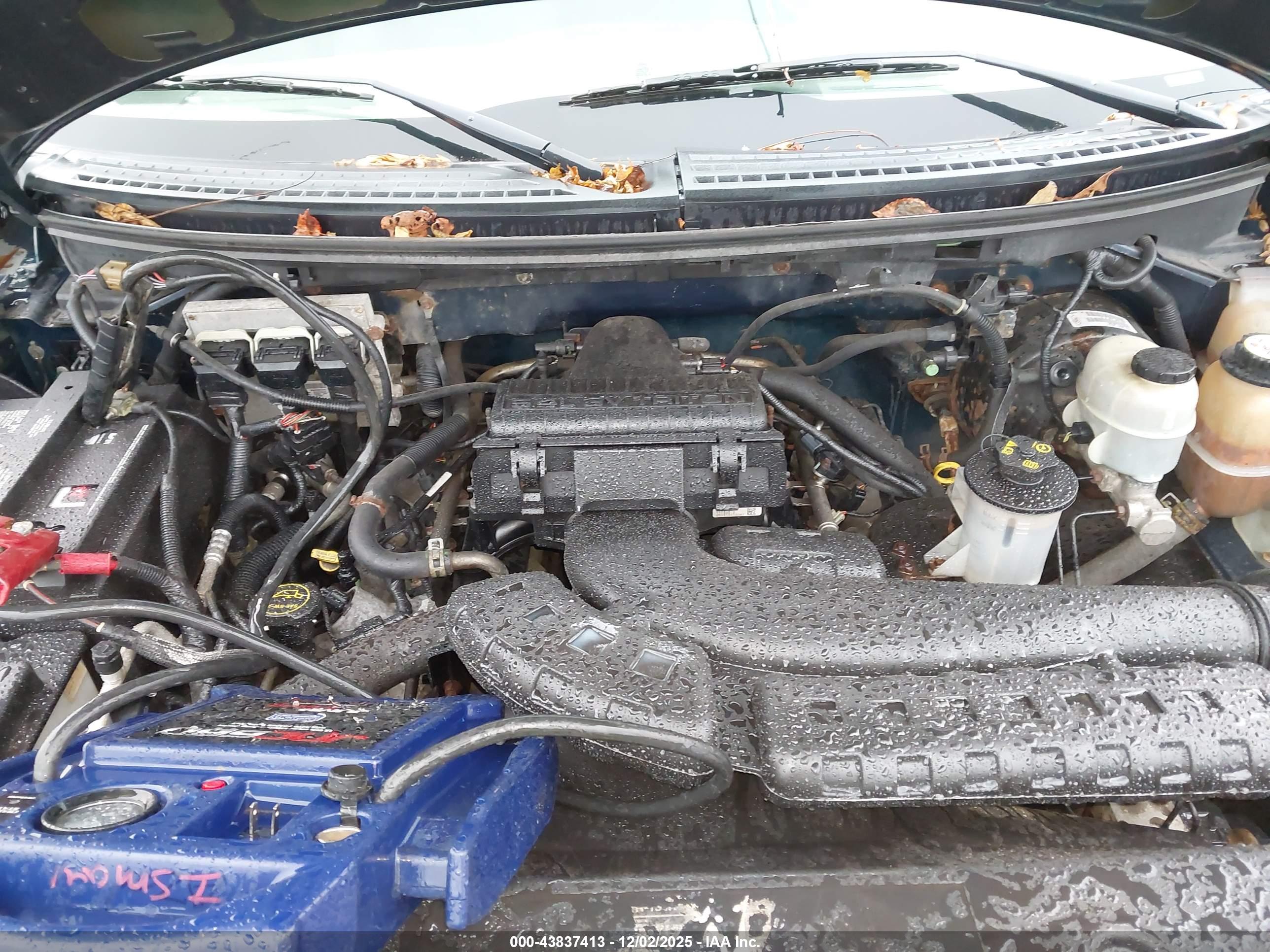 FORD F-150 image 10