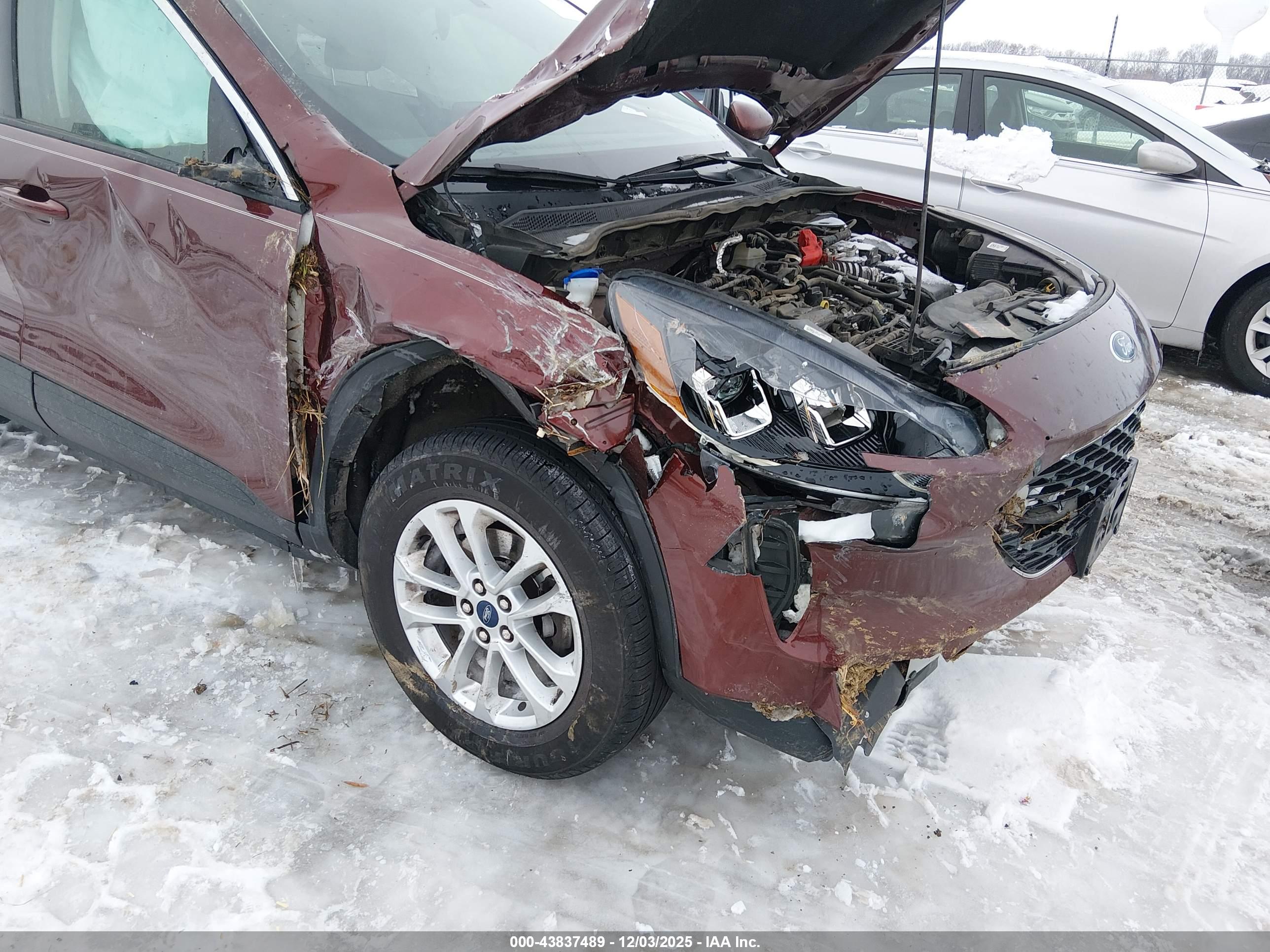 FORD ESCAPE image 6