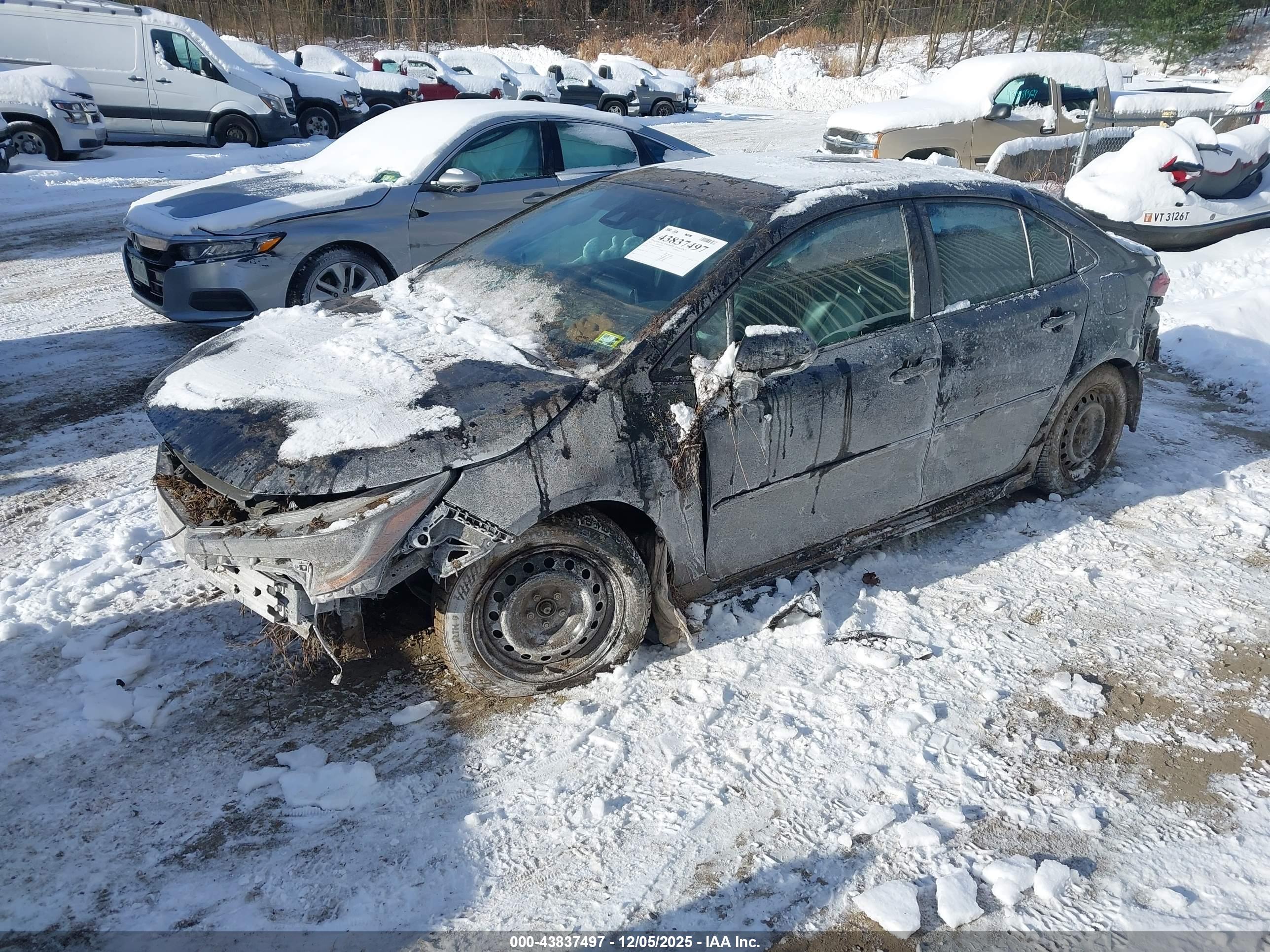 TOYOTA COROLLA image 2