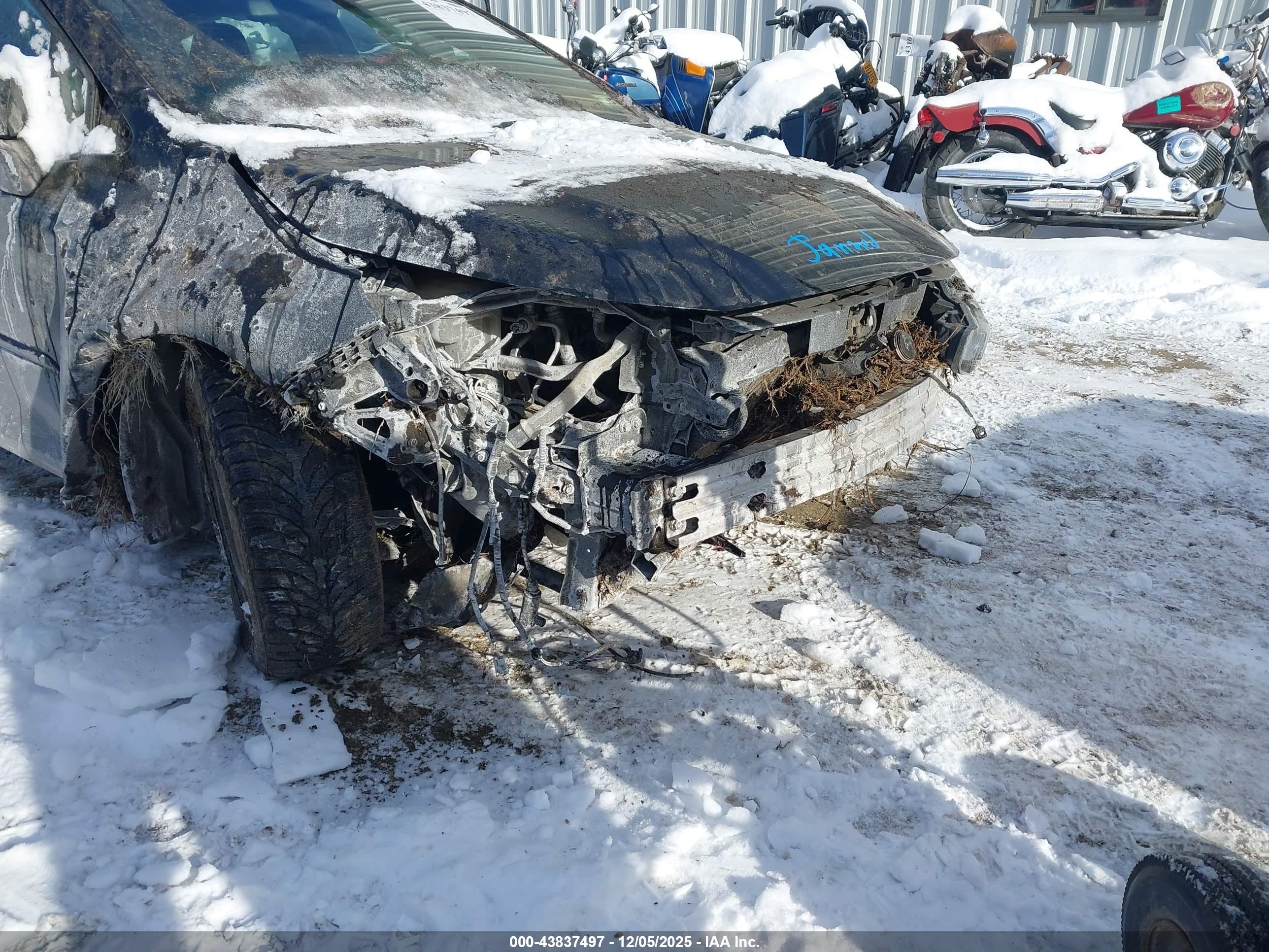 TOYOTA COROLLA image 6