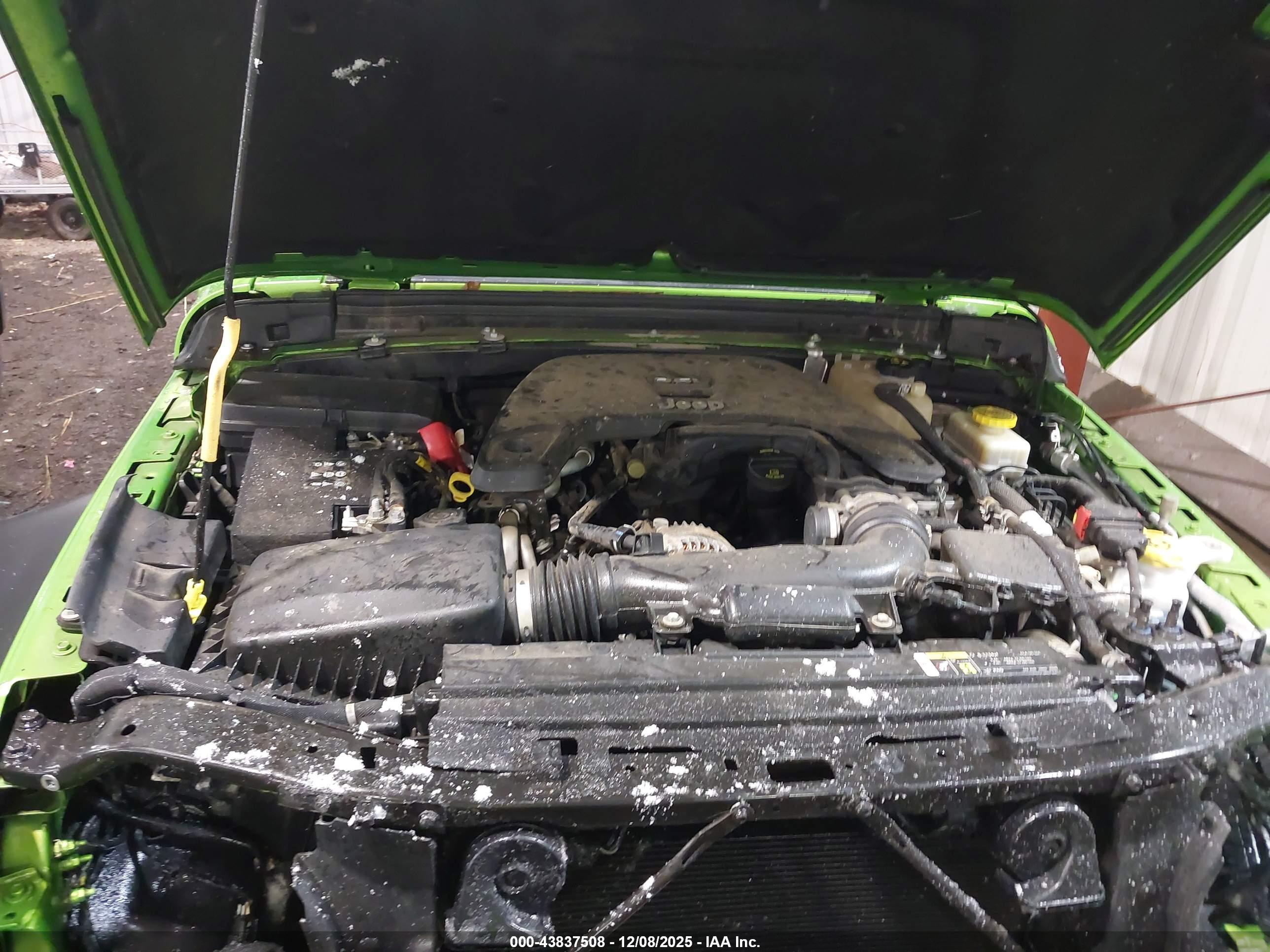 JEEP WRANGLER image 10