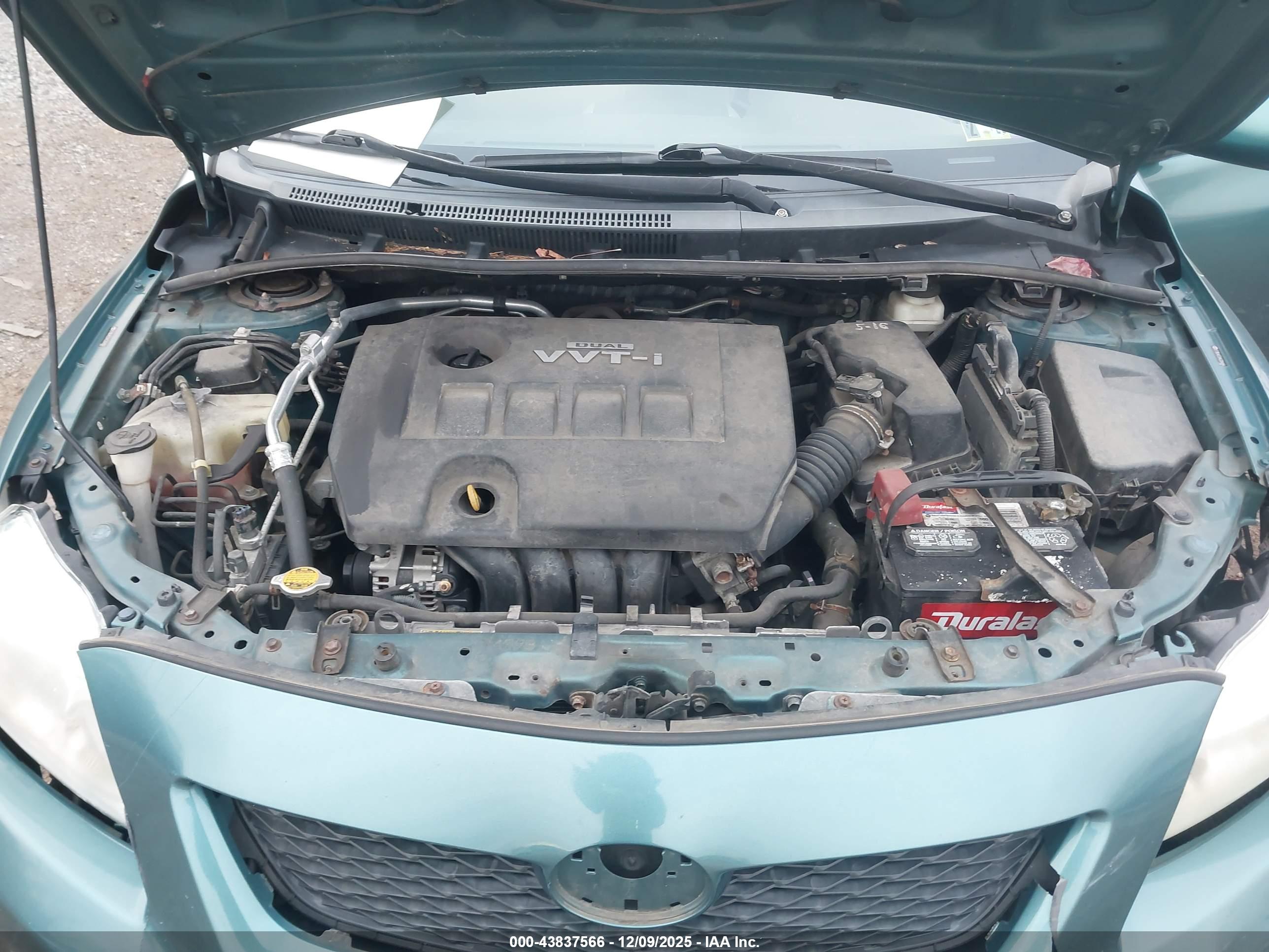TOYOTA COROLLA image 10