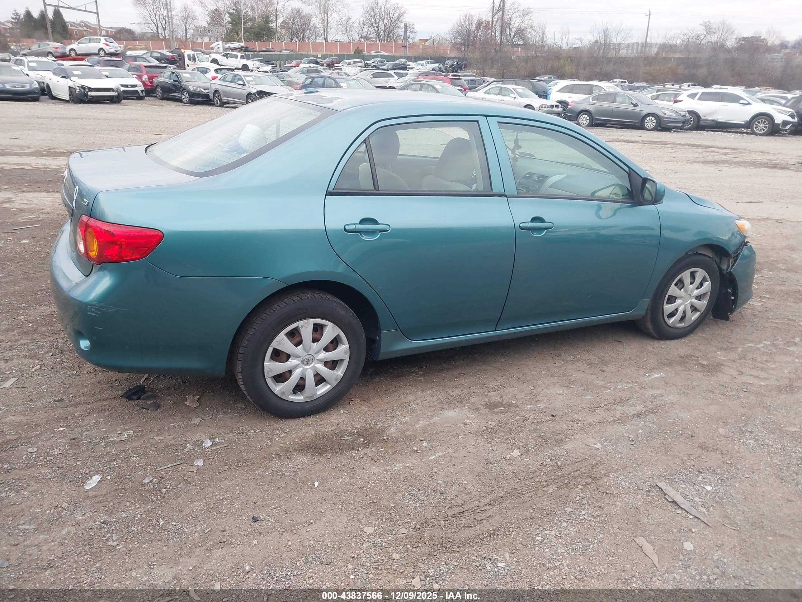 TOYOTA COROLLA image 4