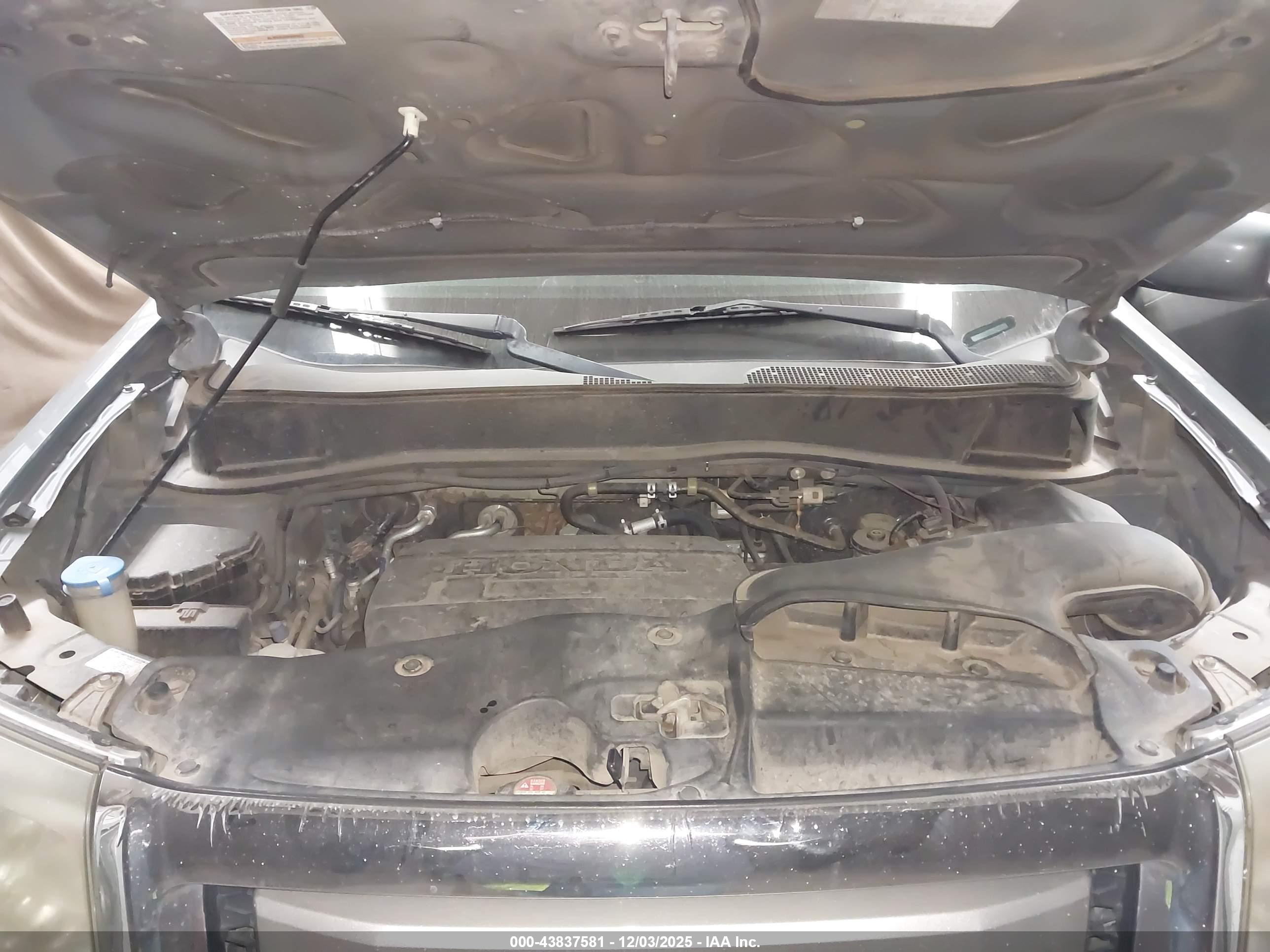 HONDA PILOT image 10