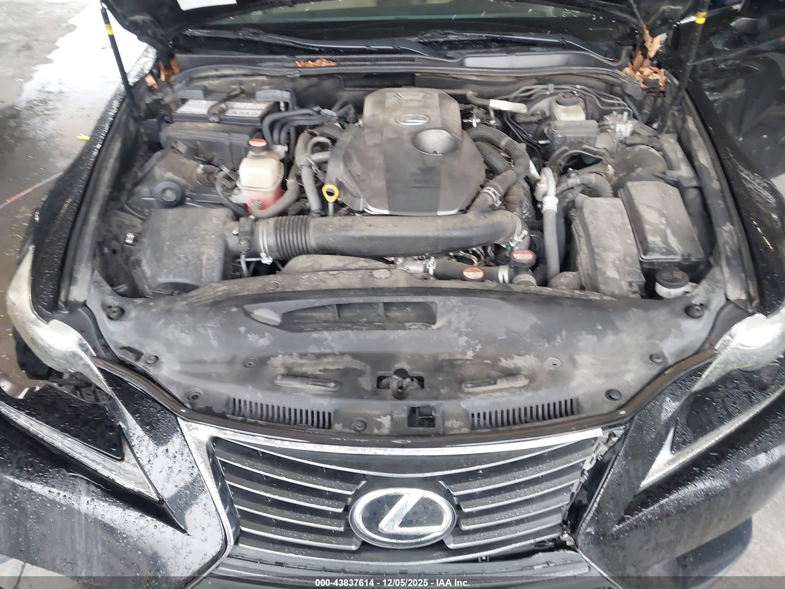 LEXUS IS image 10
