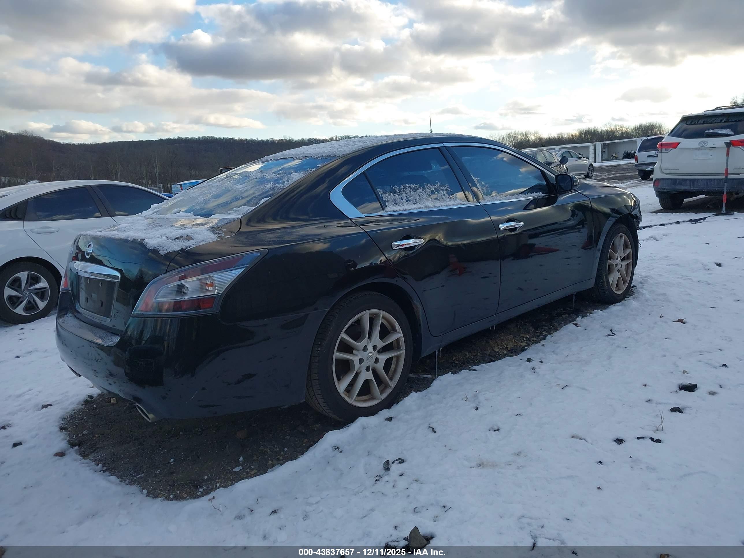 NISSAN MAXIMA image 4