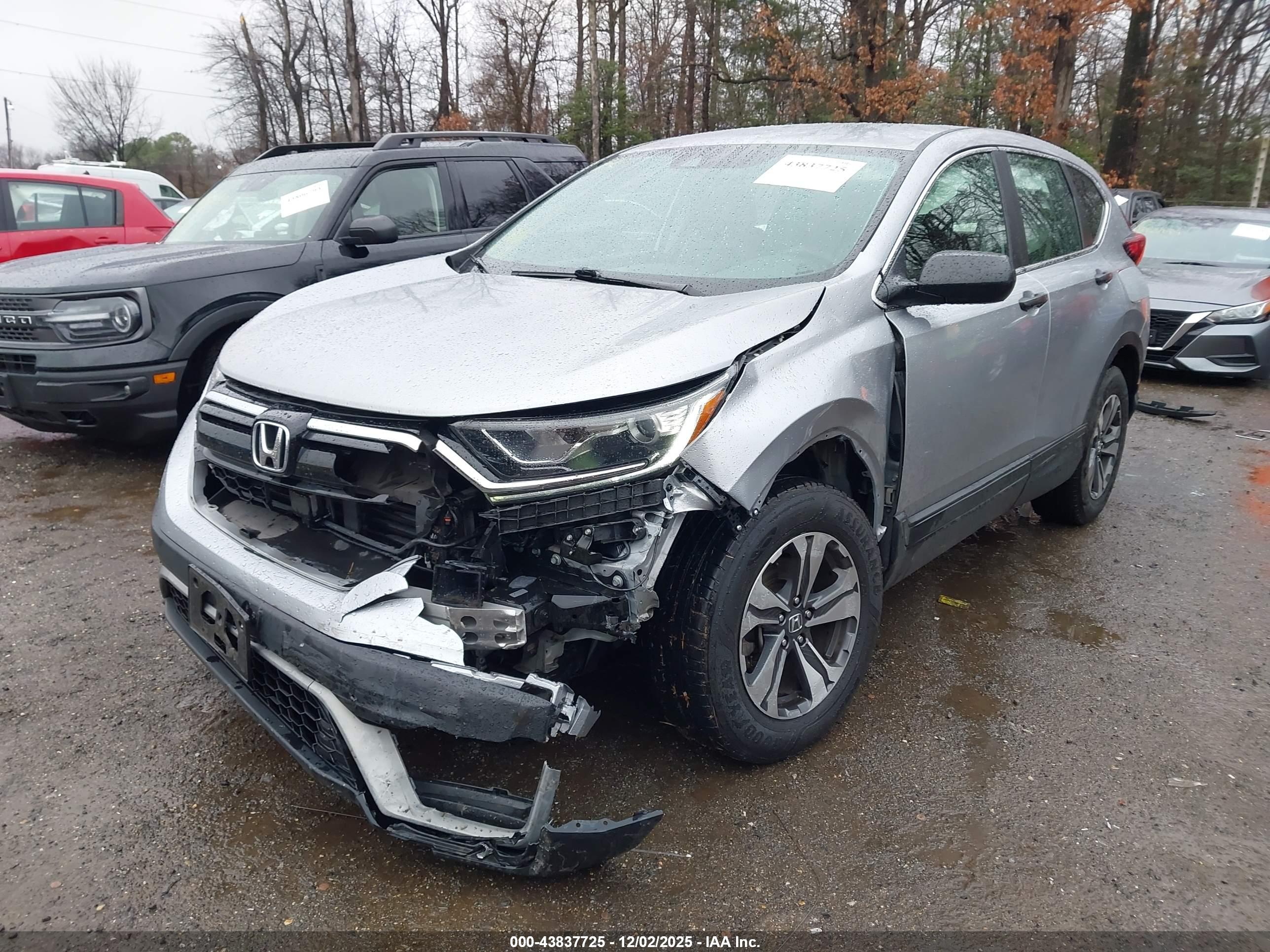 HONDA CR-V image 6