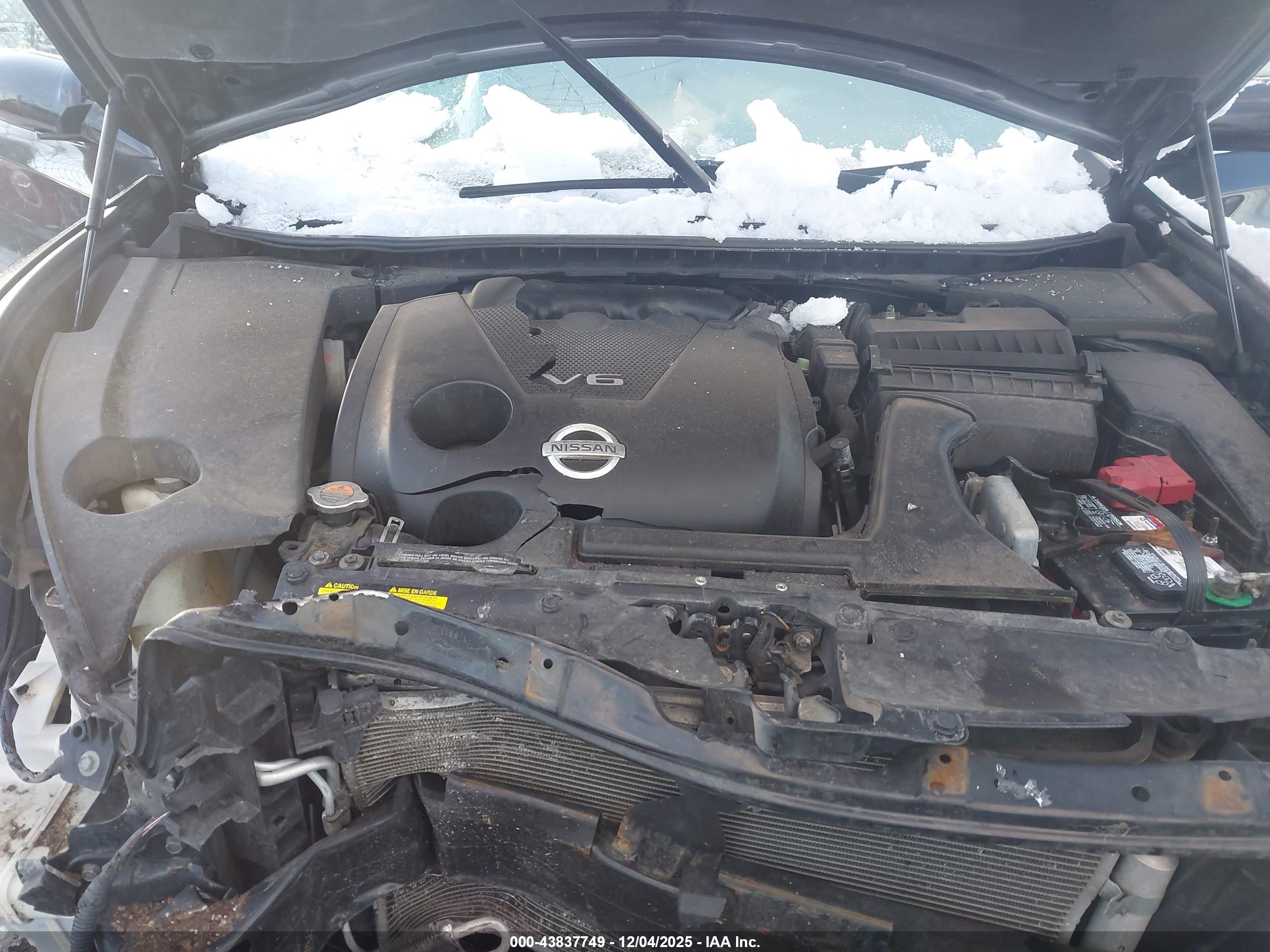 NISSAN MAXIMA image 10