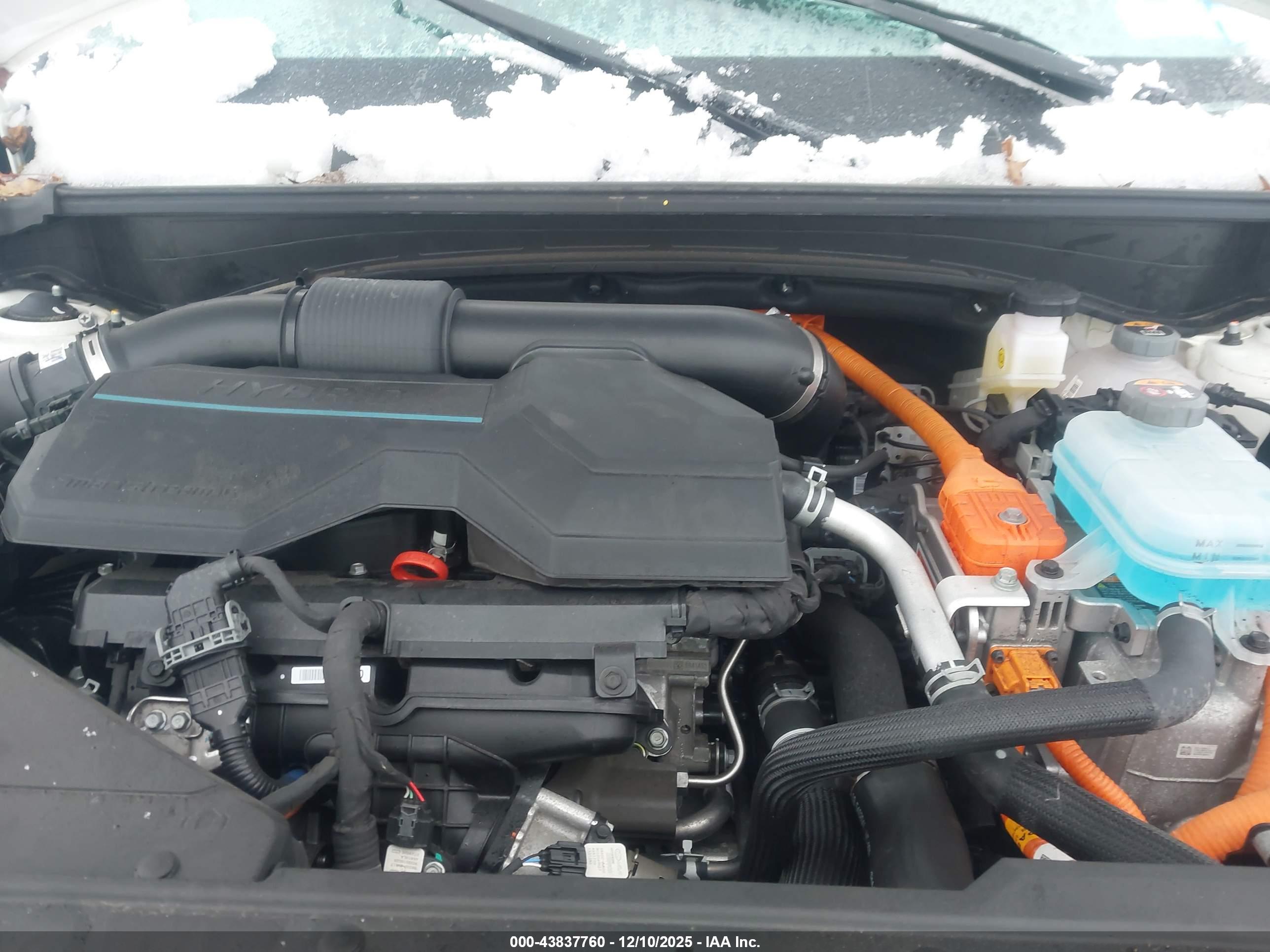 KIA SPORTAGE image 10