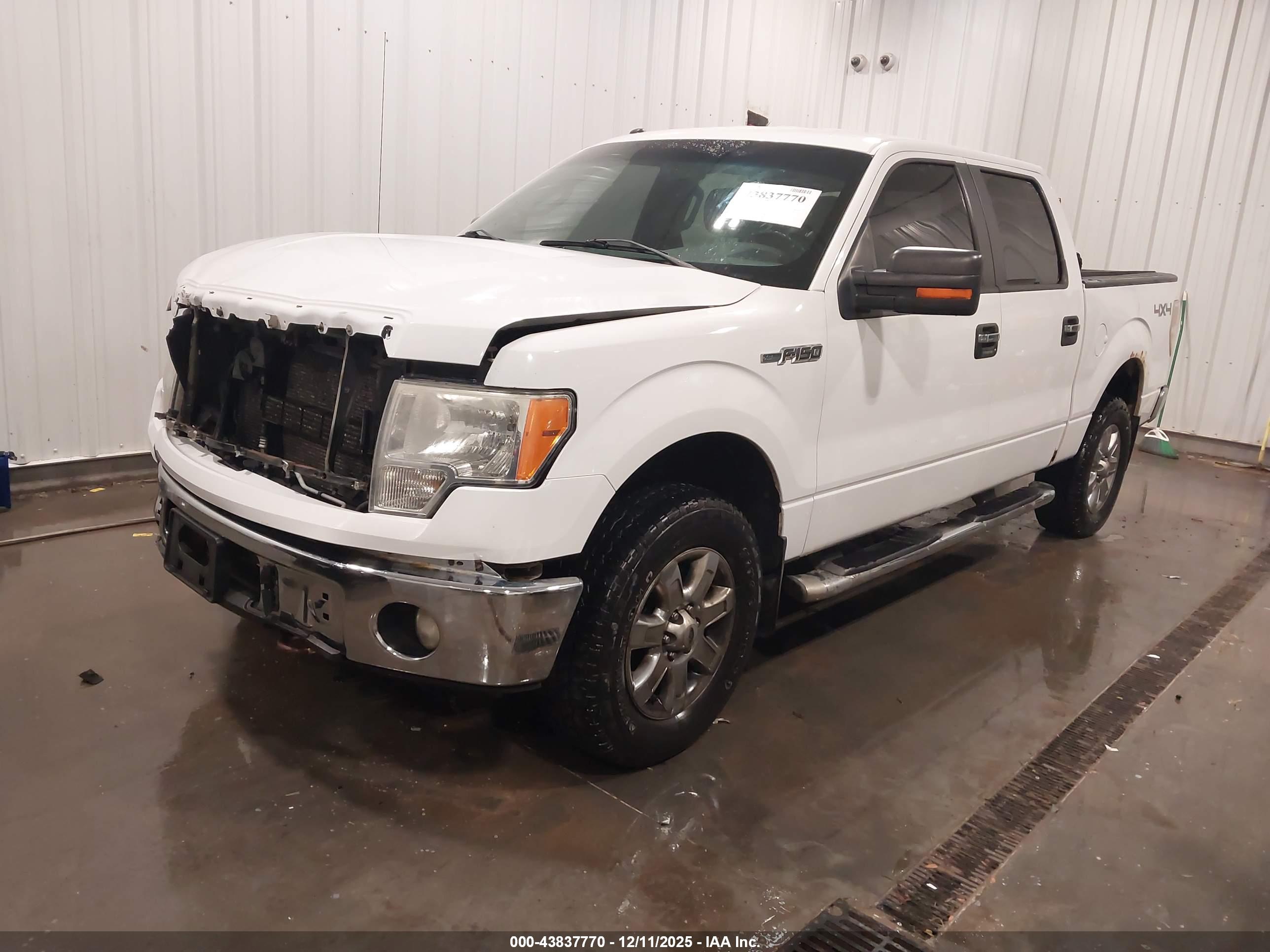 FORD F-150 image 2