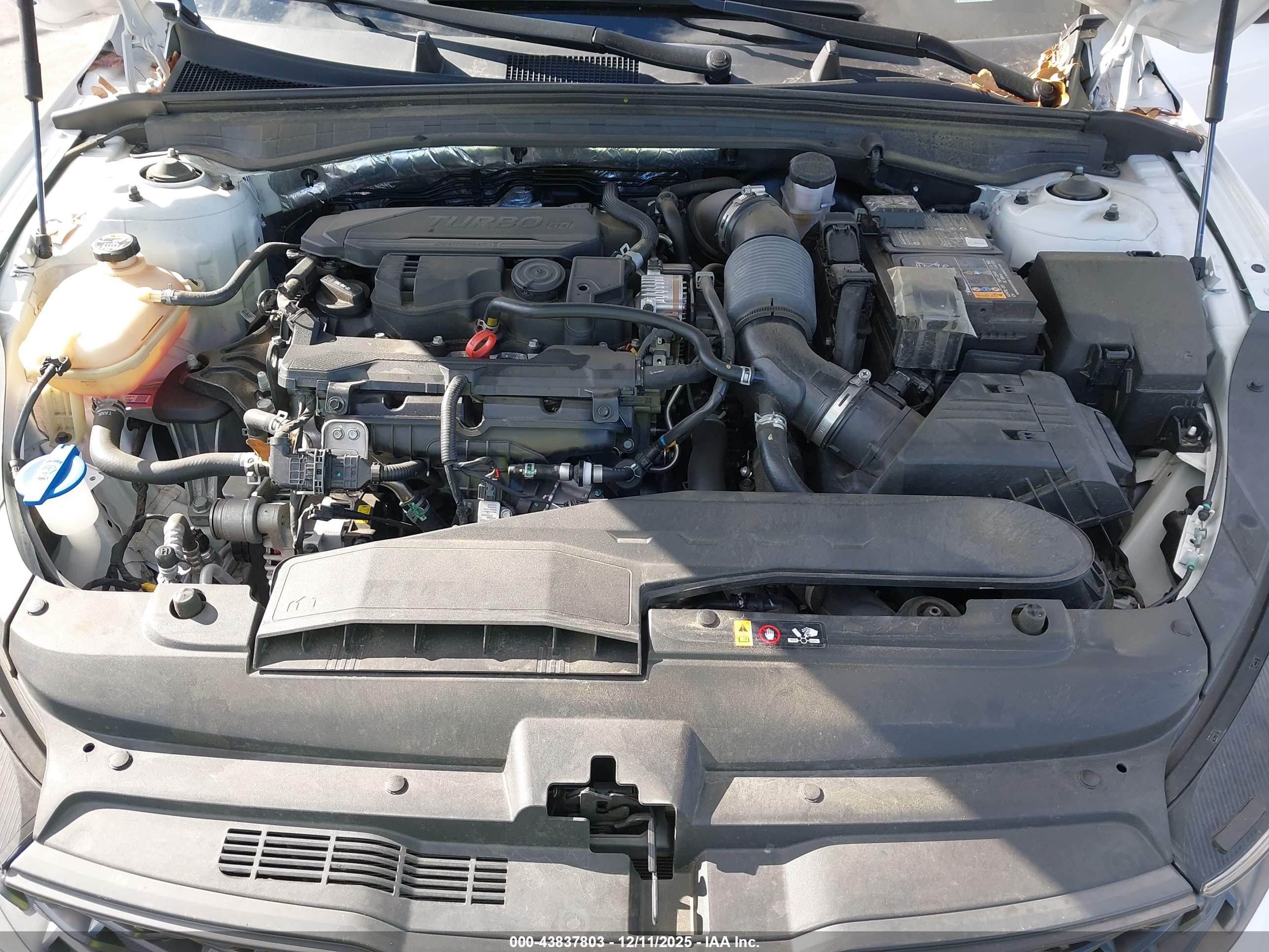 KIA K5 image 10