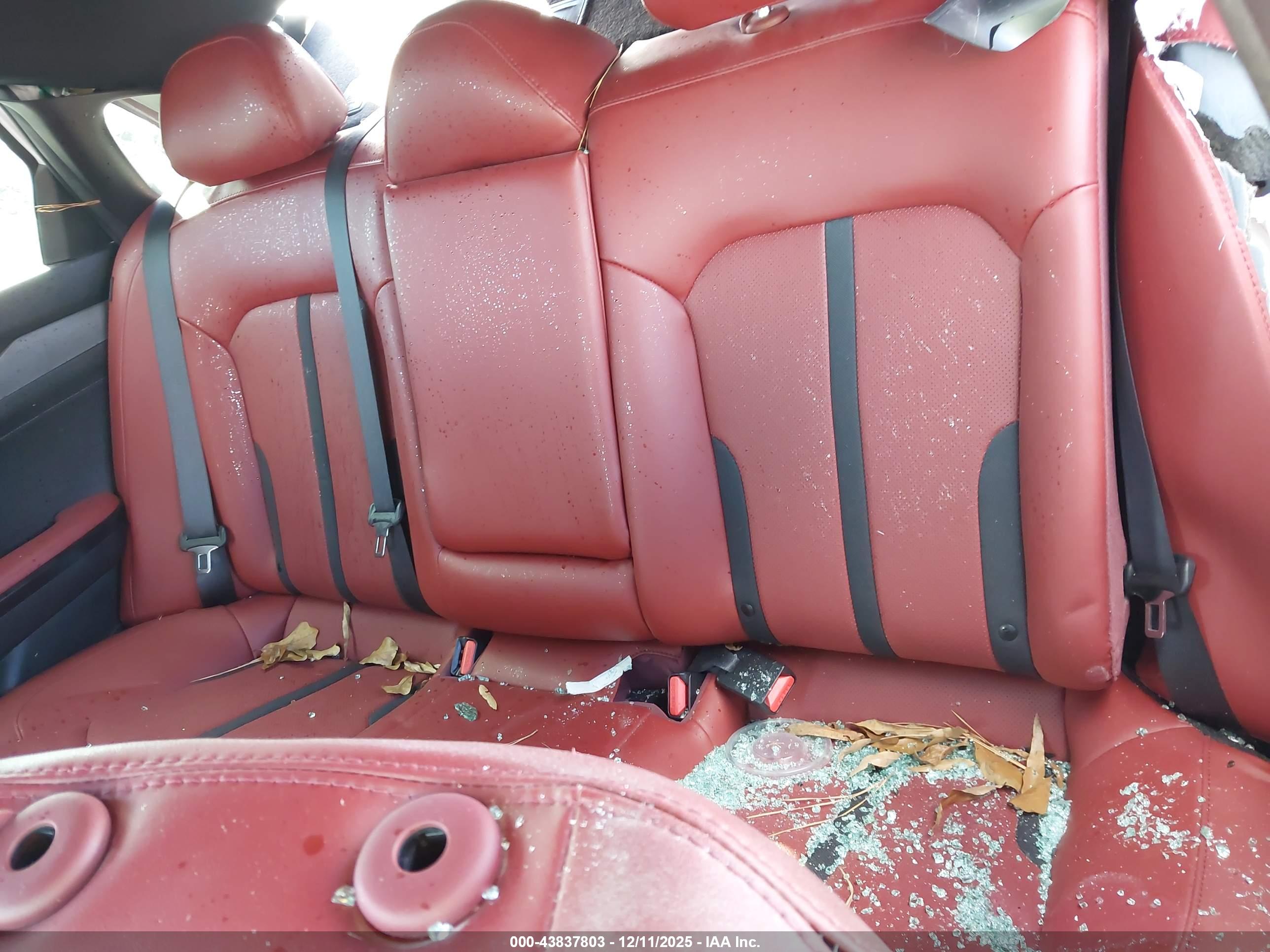 KIA K5 image 8