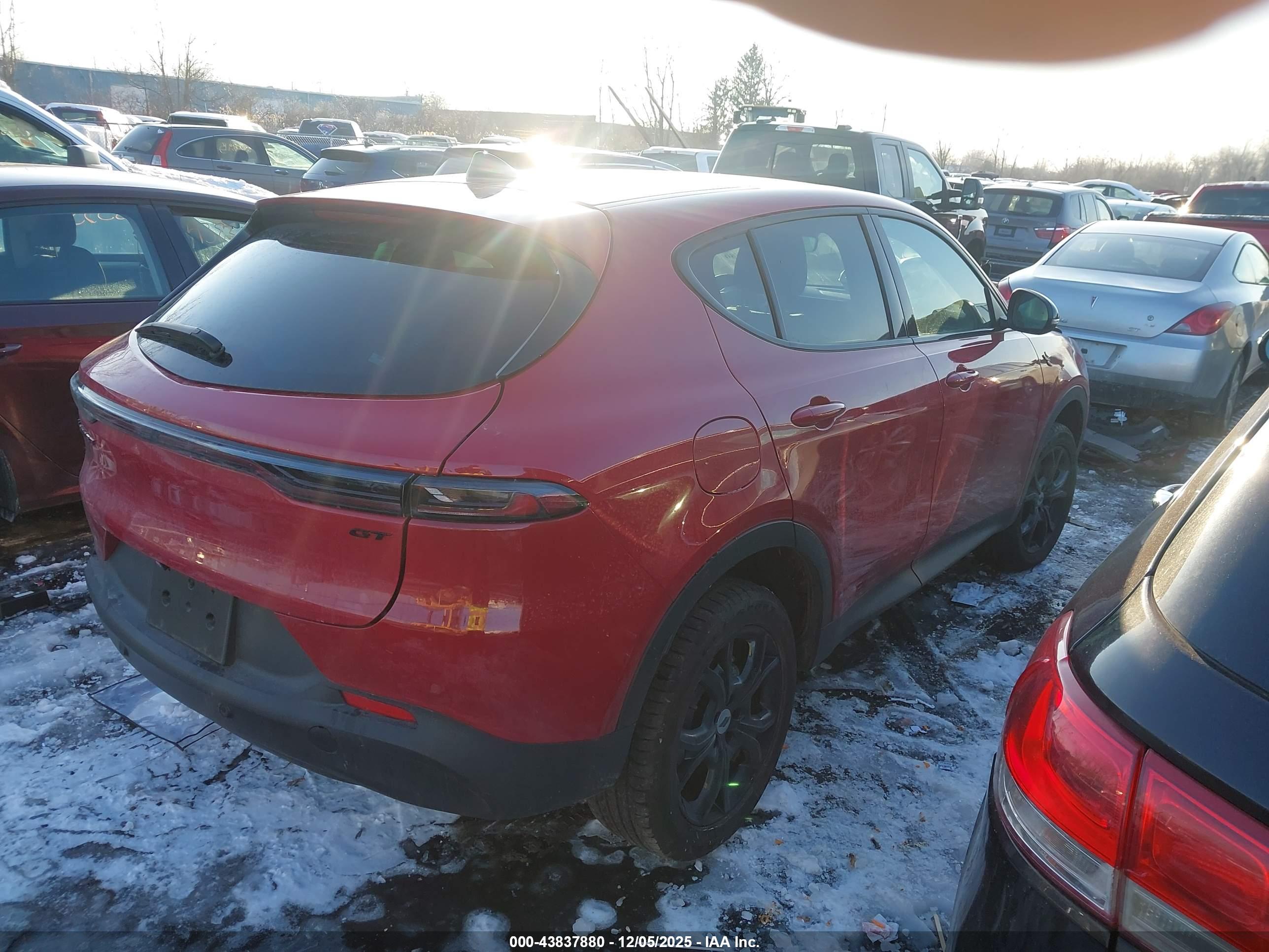 DODGE HORNET image 4