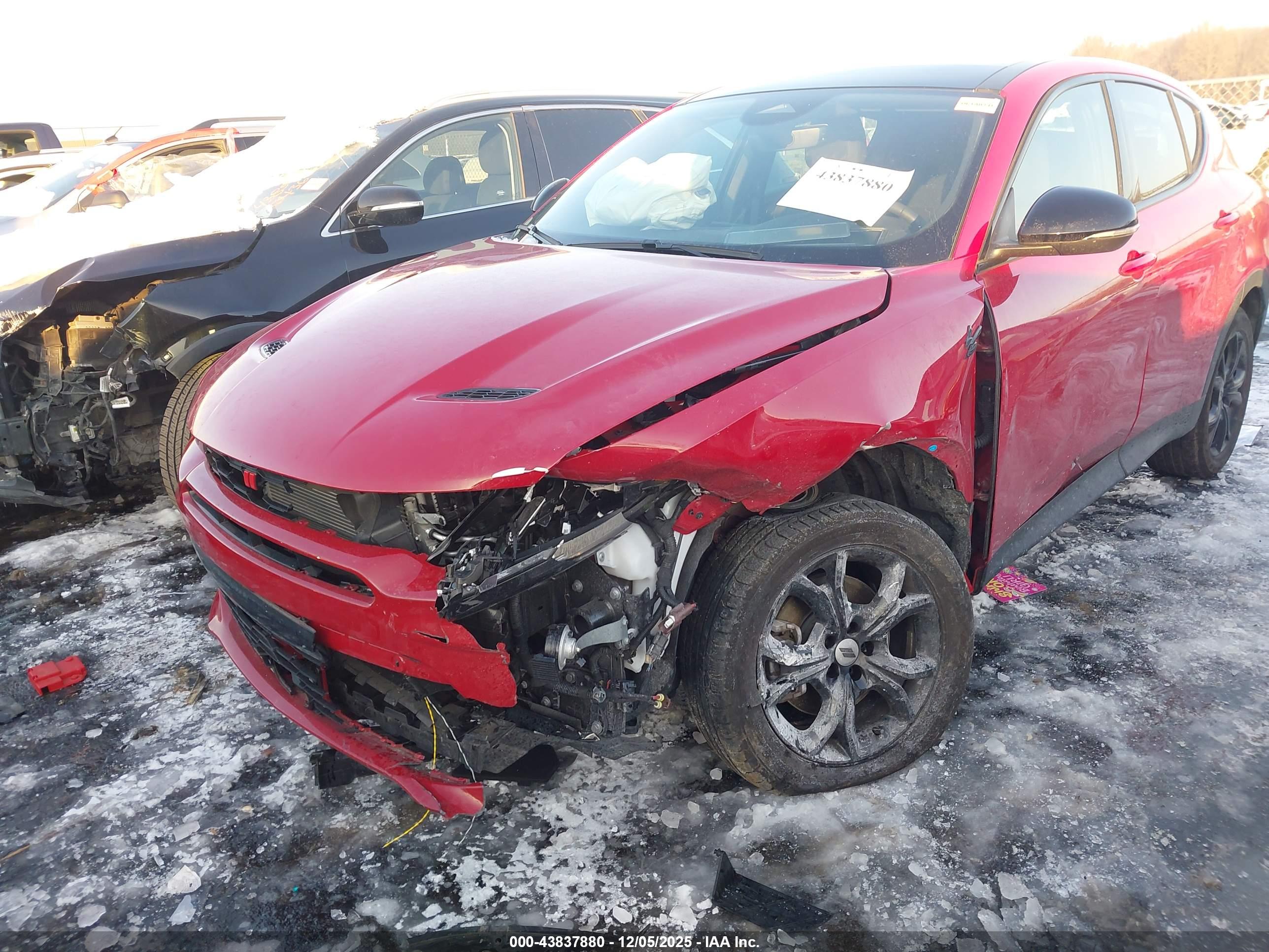 DODGE HORNET image 6