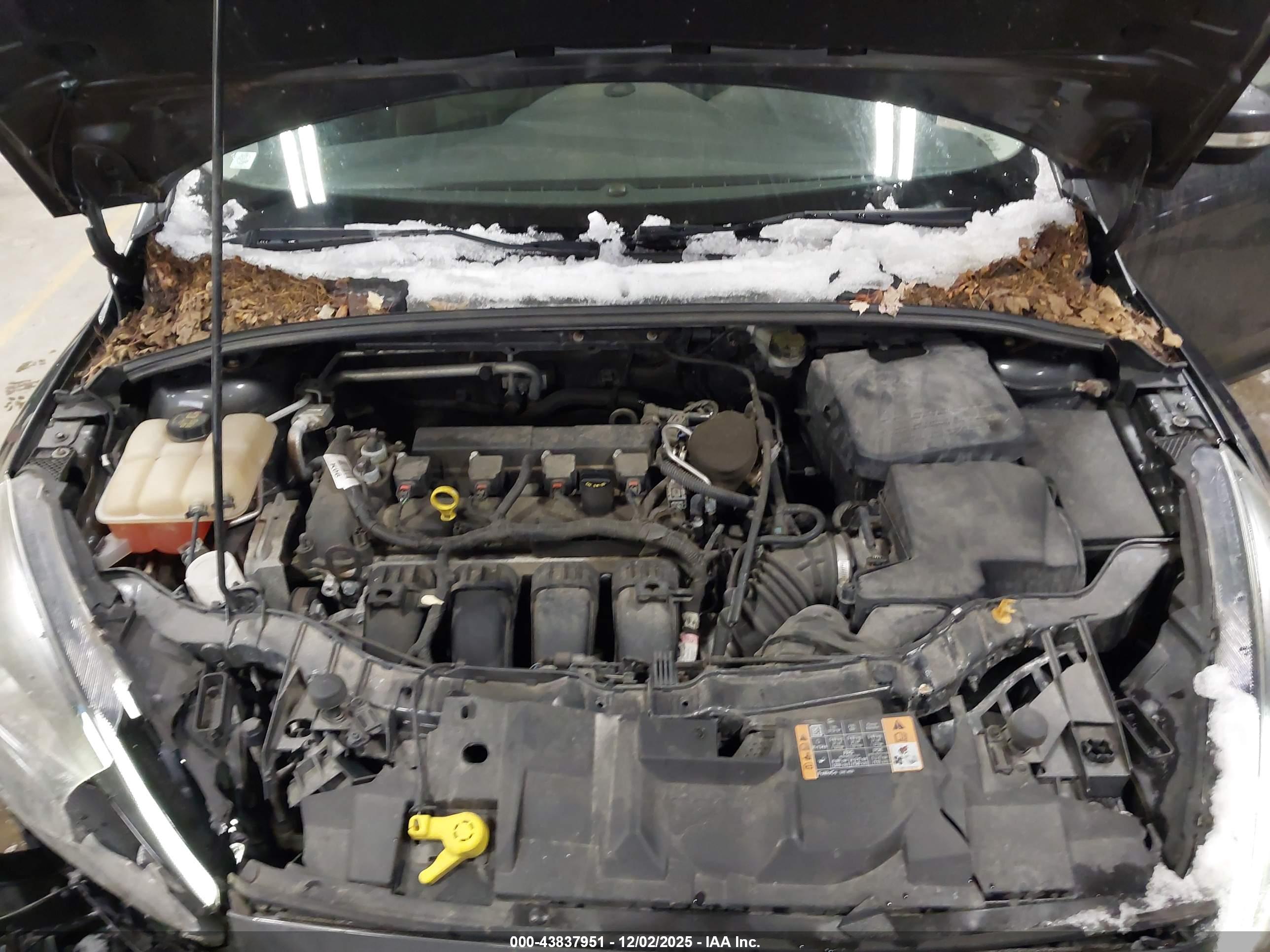 FORD FOCUS image 10