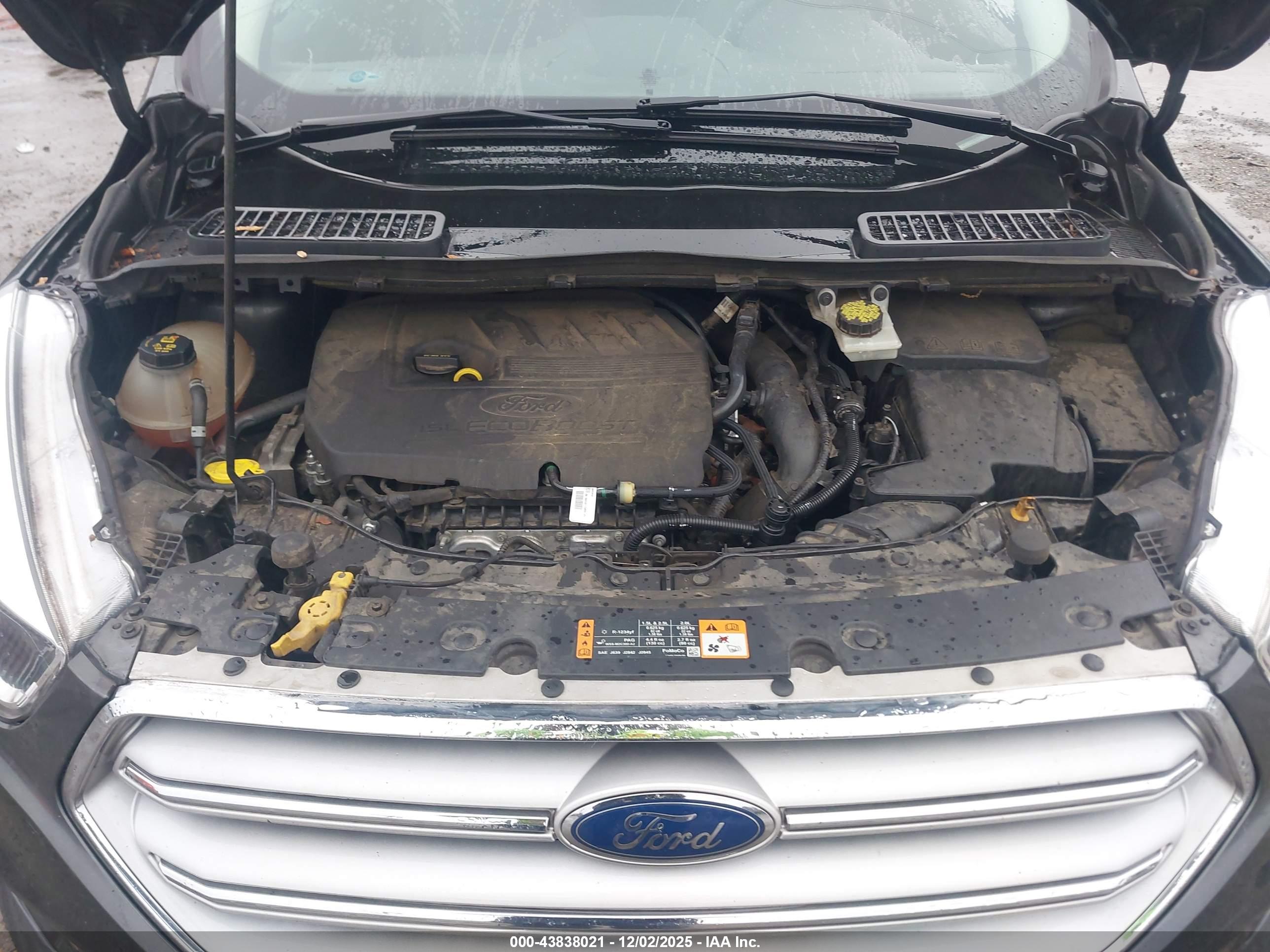 FORD ESCAPE image 10