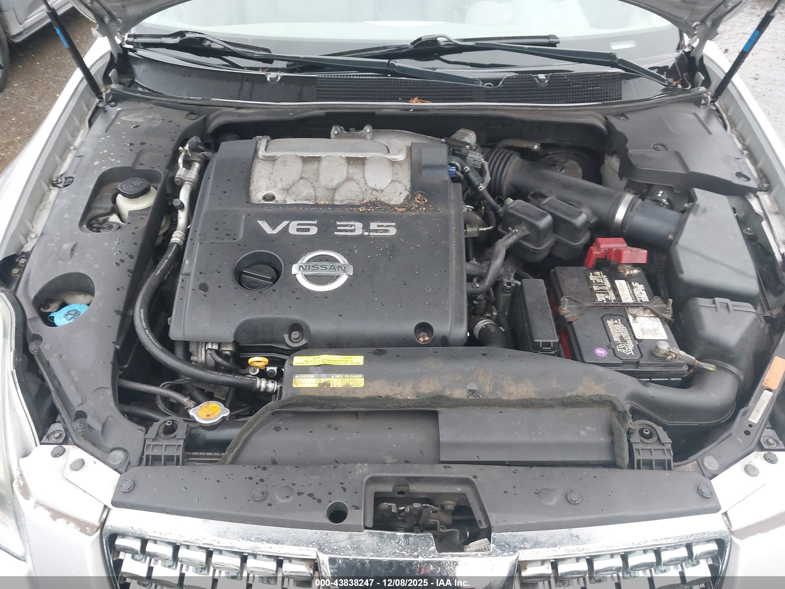 NISSAN MAXIMA image 10