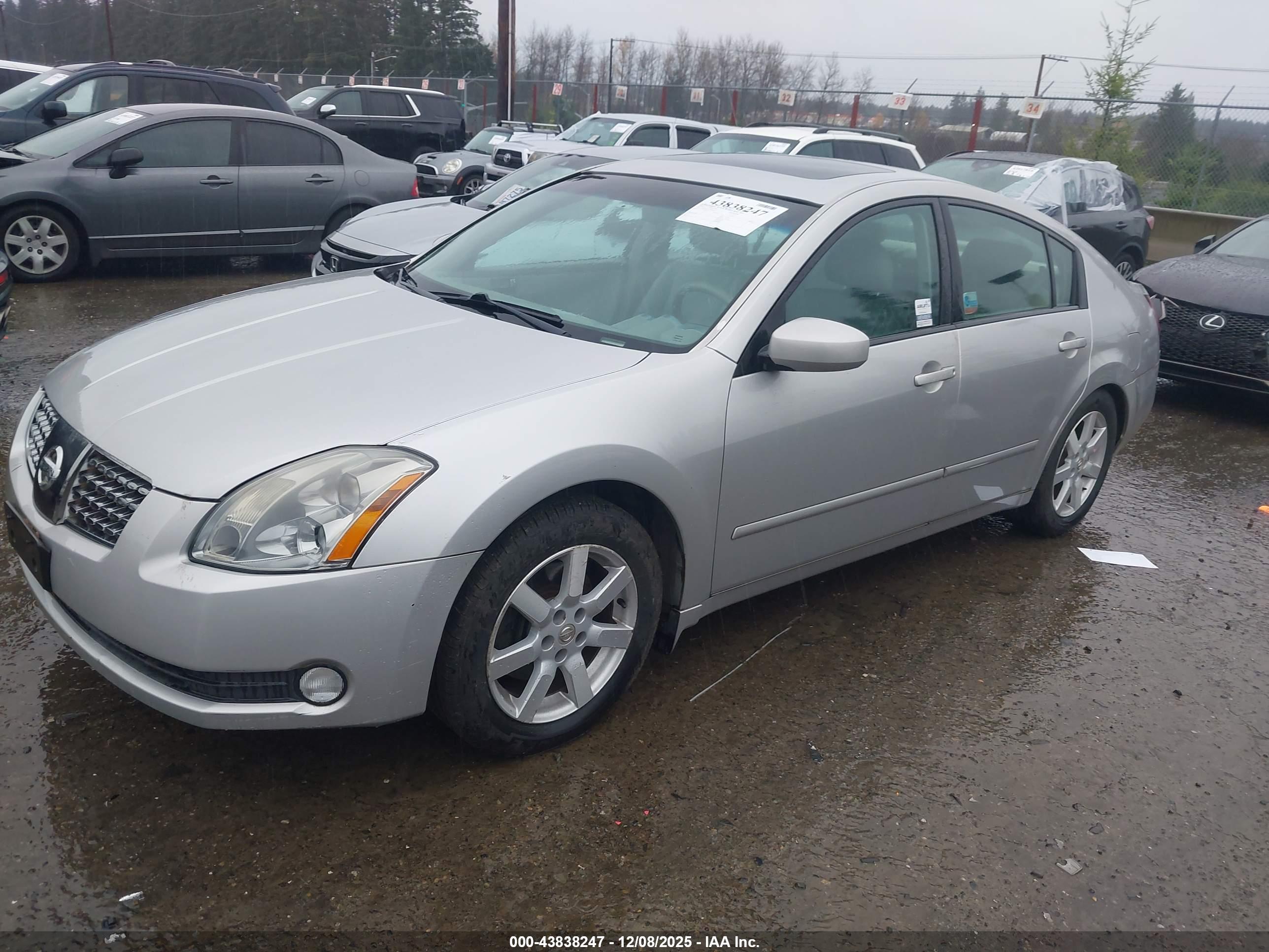 NISSAN MAXIMA image 2