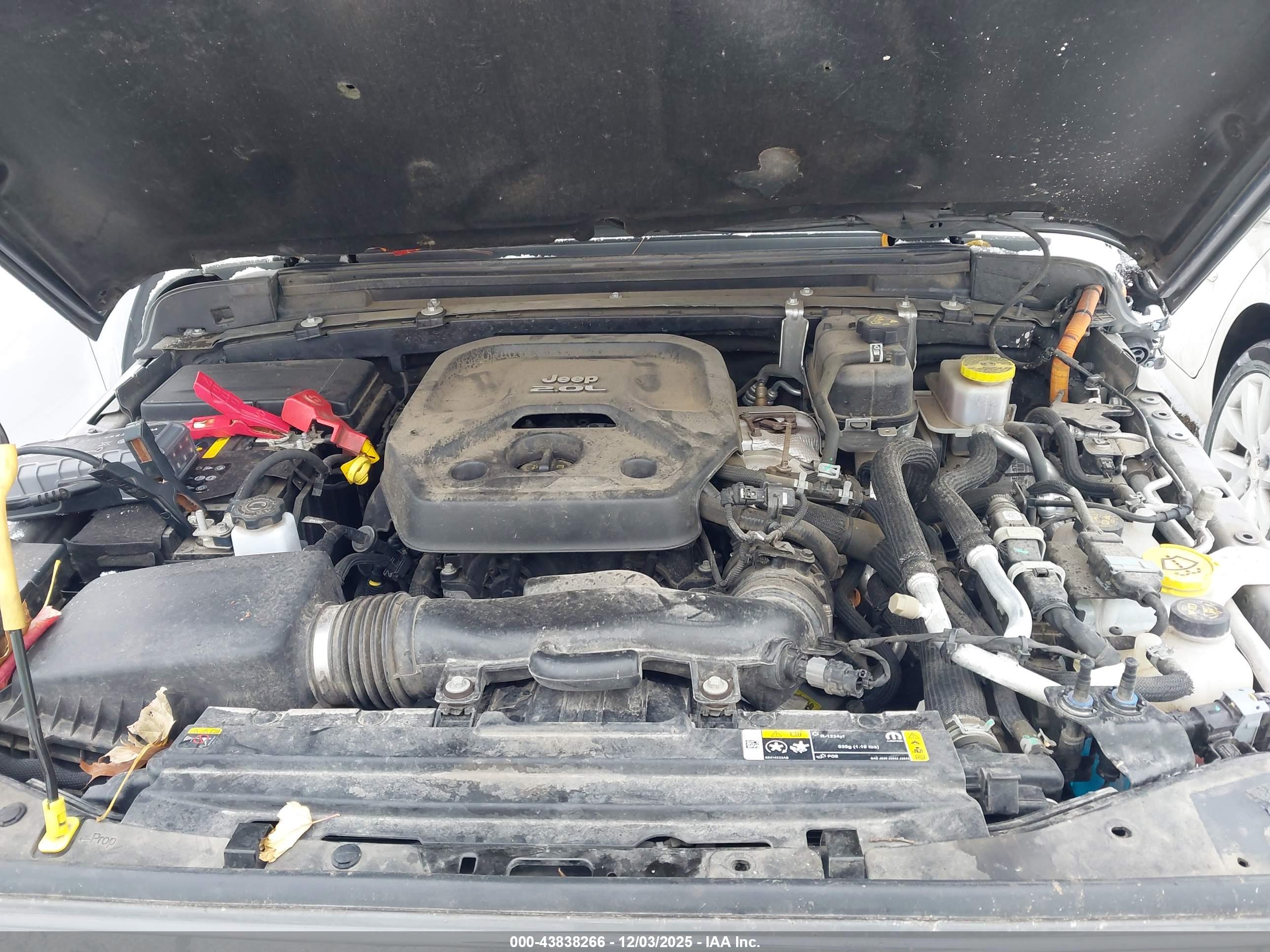JEEP WRANGLER image 10