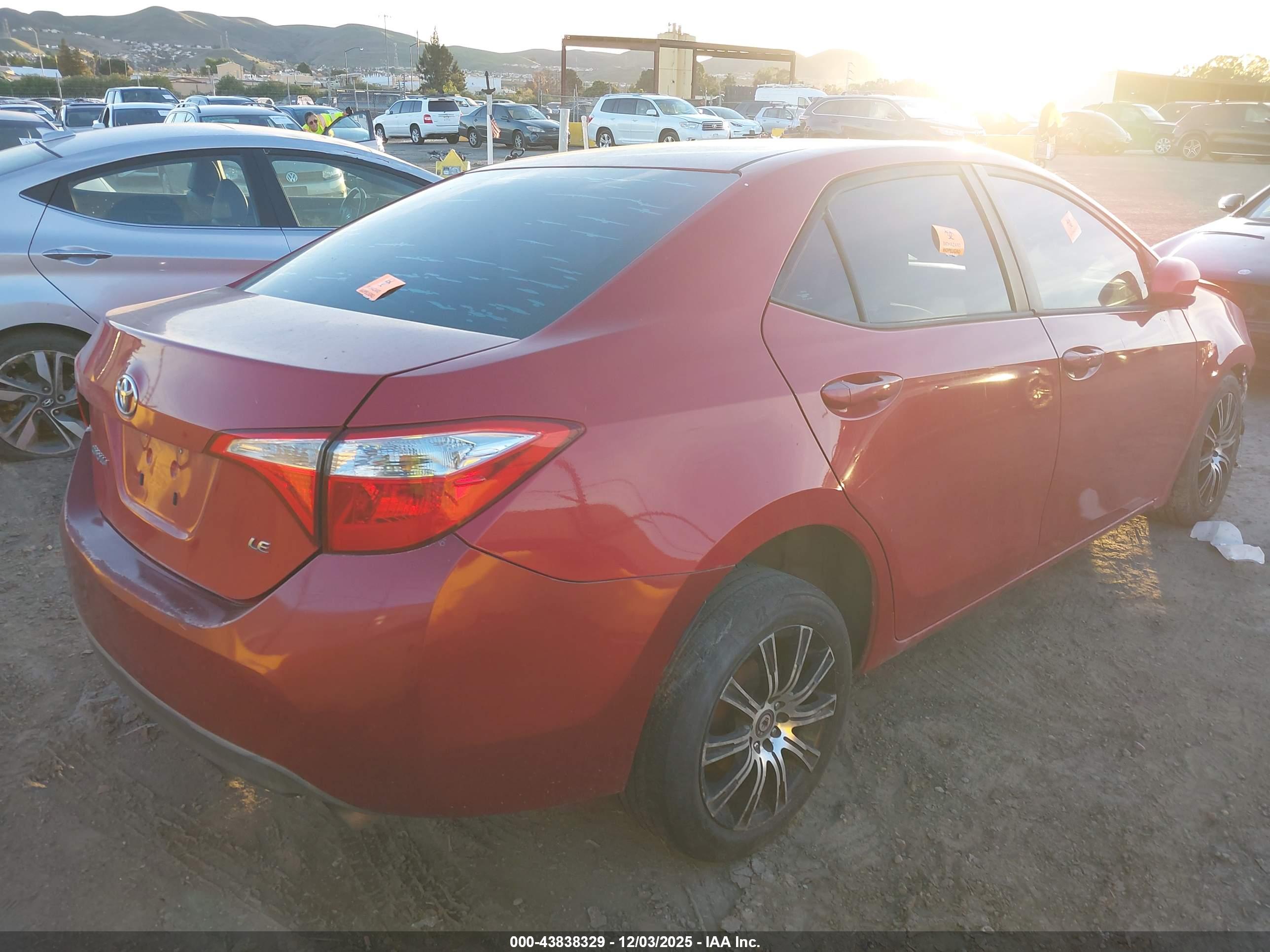 TOYOTA COROLLA image 4