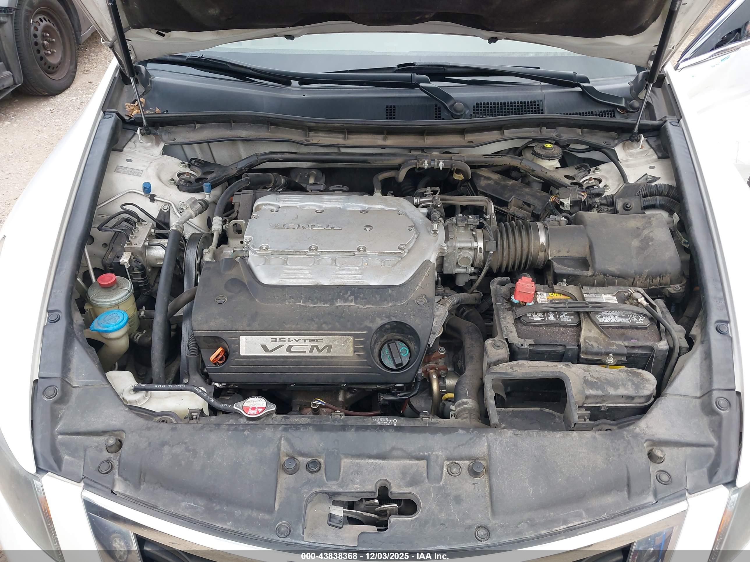 HONDA ACCORD image 10