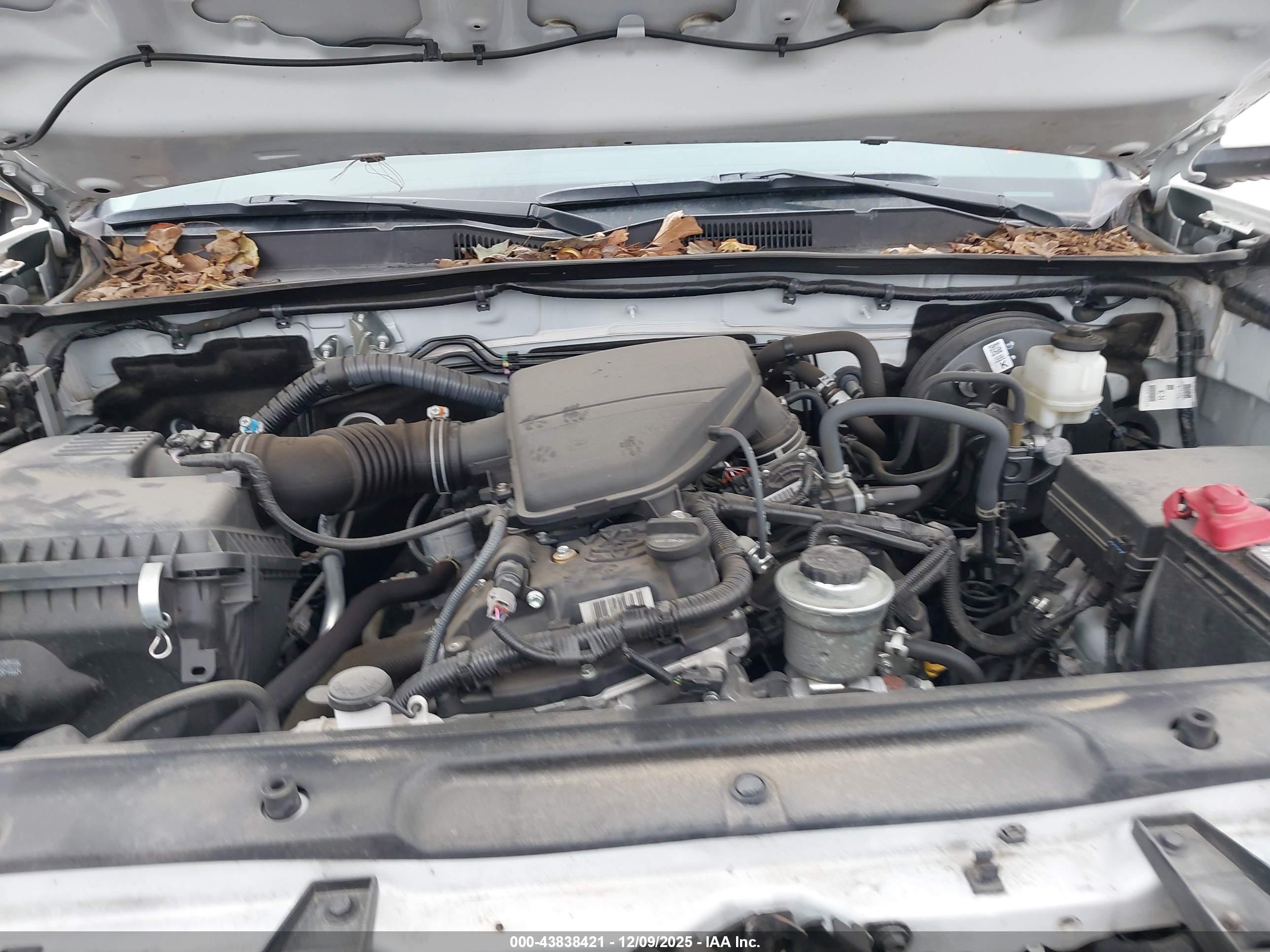 TOYOTA TACOMA image 10
