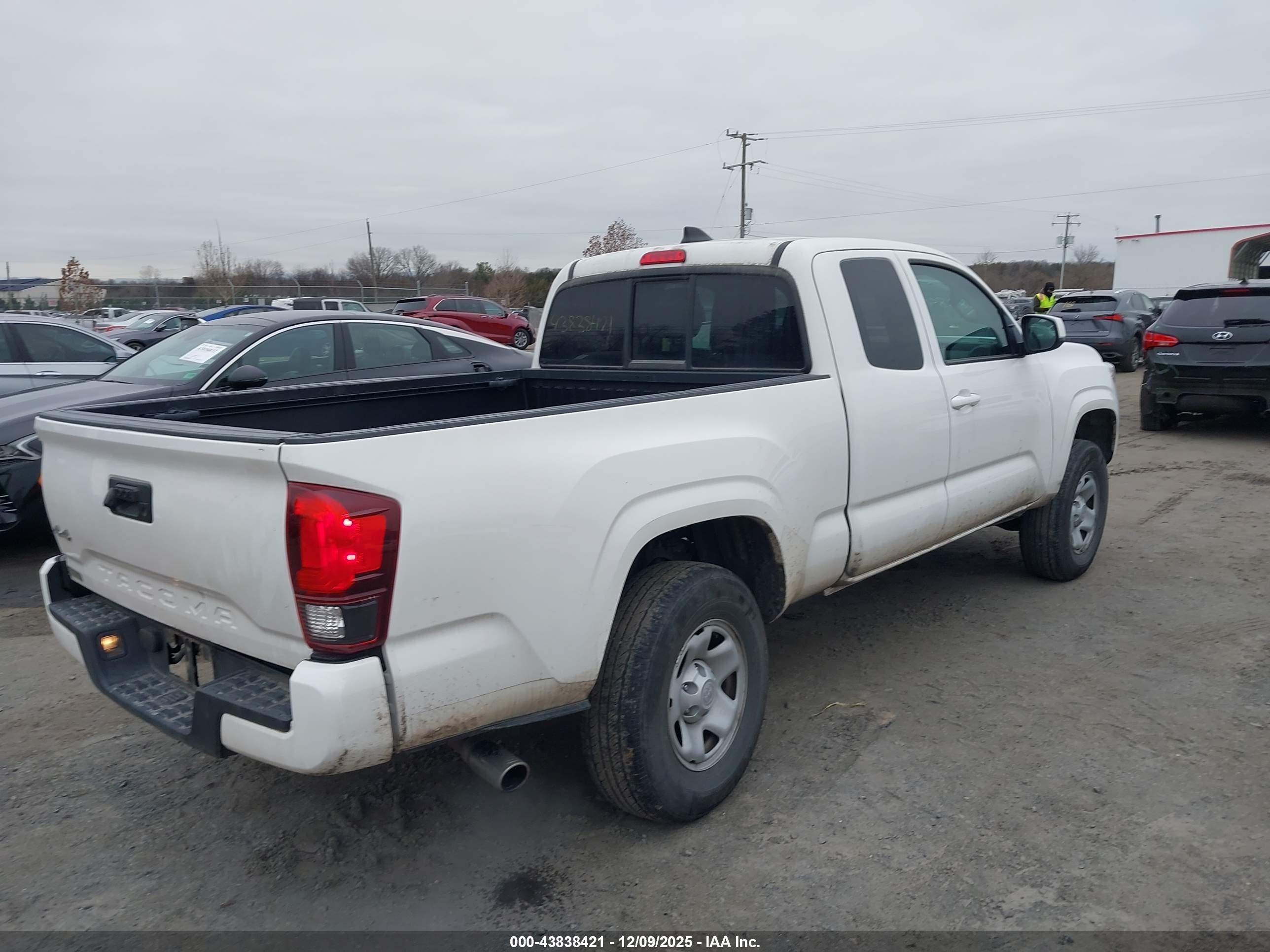 TOYOTA TACOMA image 4