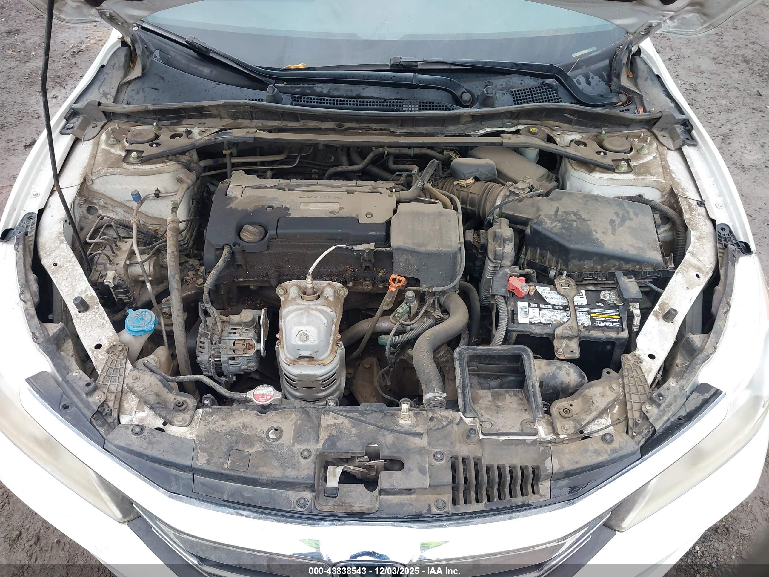 HONDA ACCORD image 10