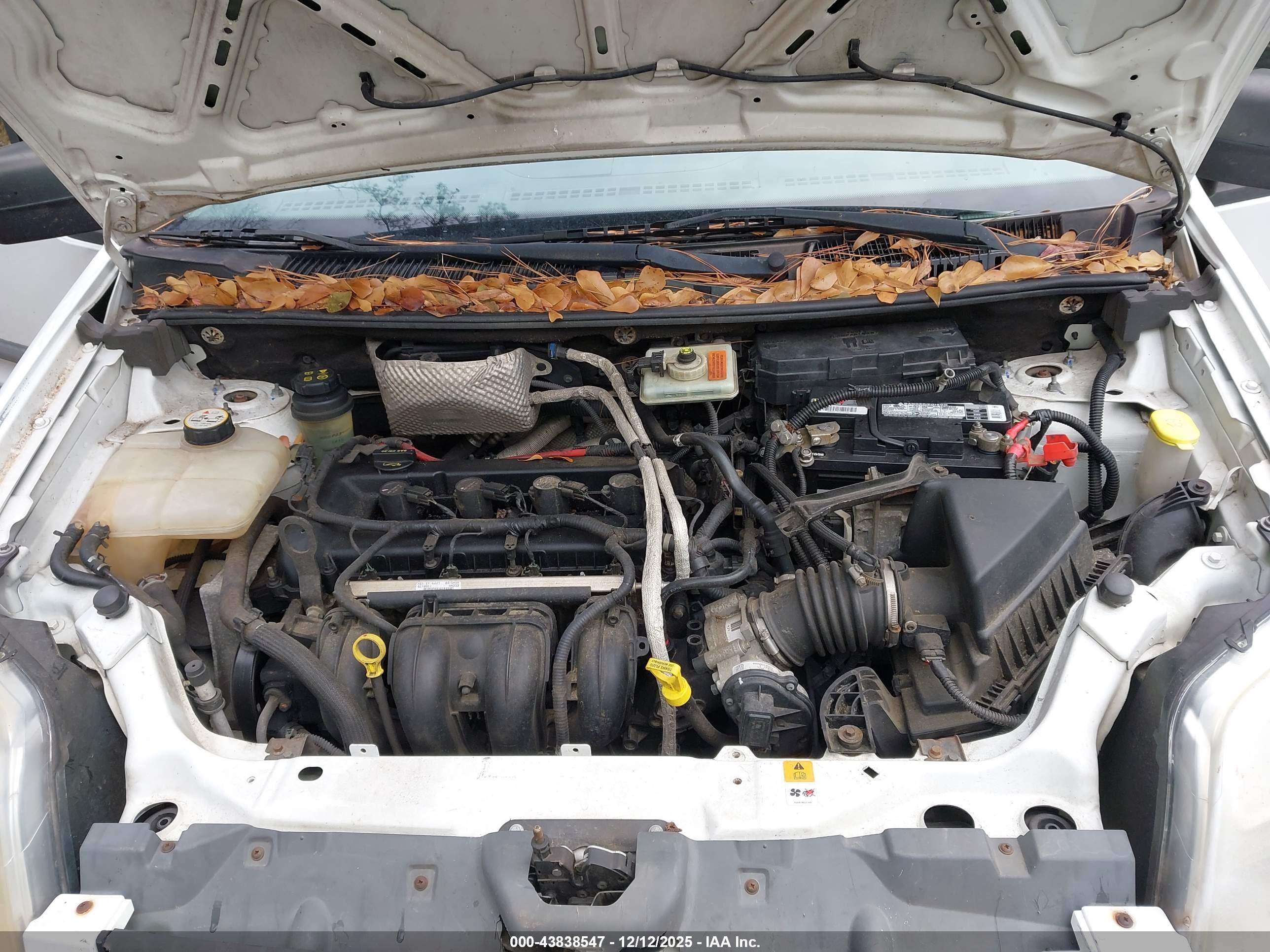 FORD TRANSIT image 10