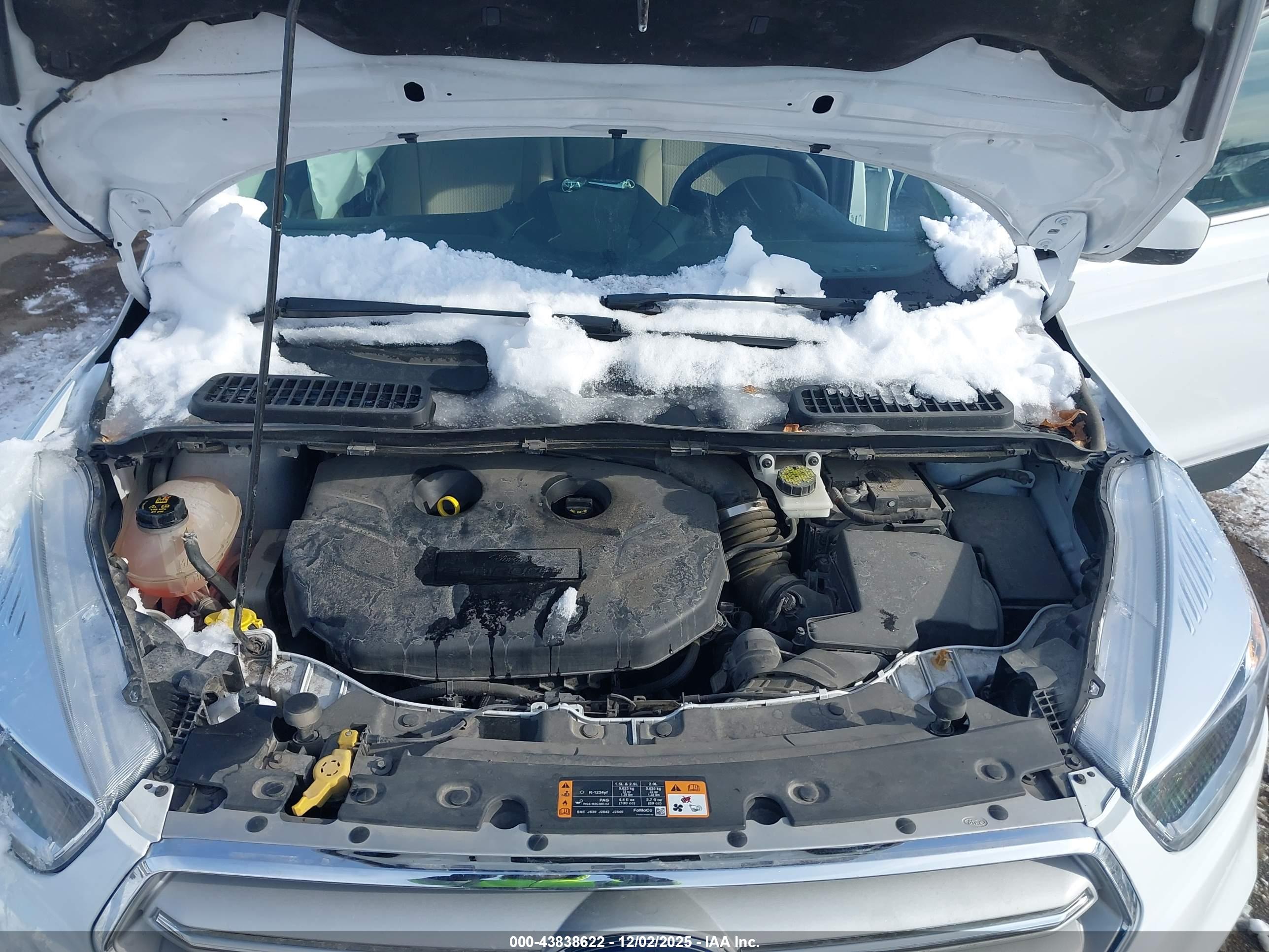 FORD ESCAPE image 10