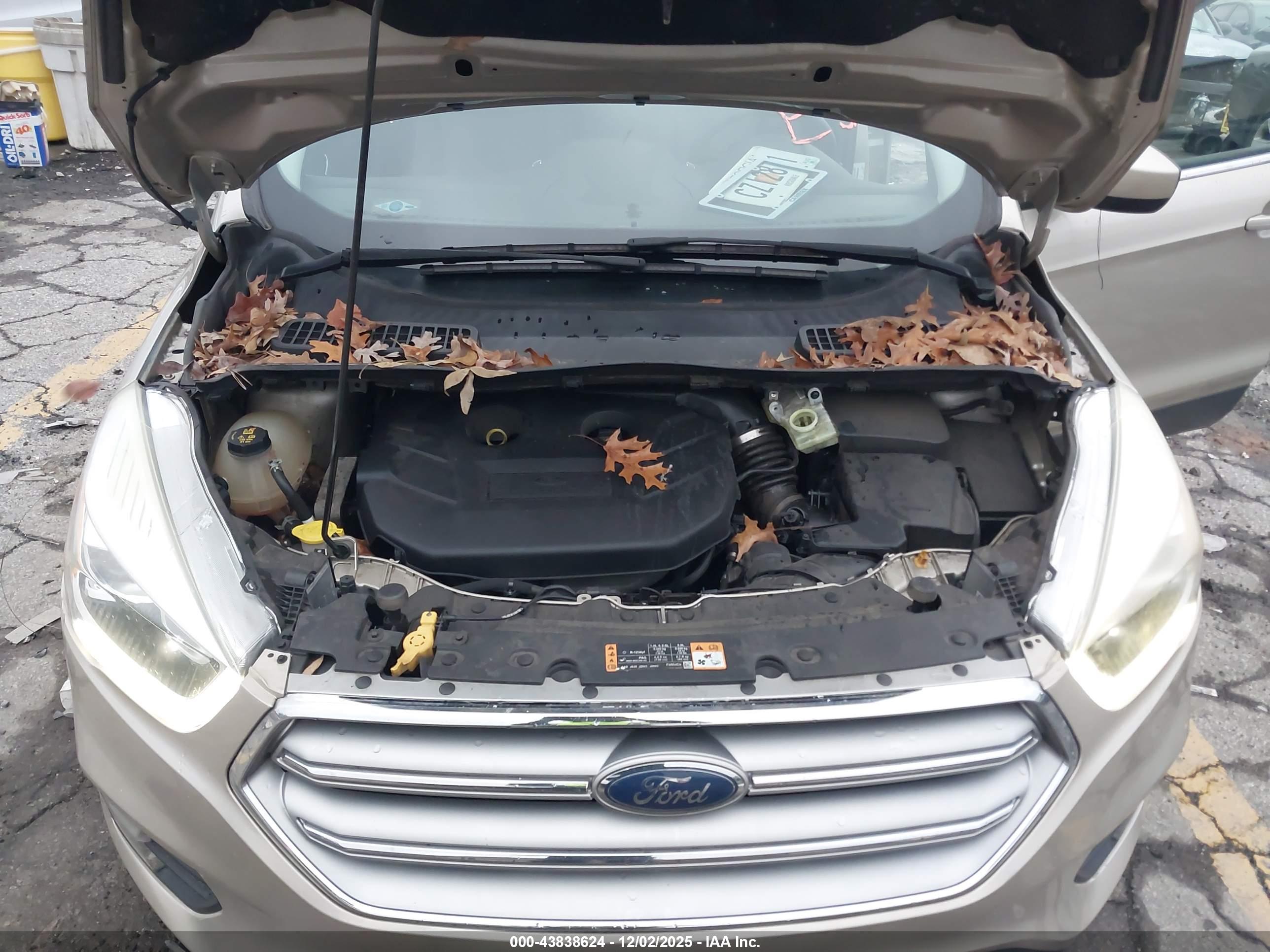 FORD ESCAPE image 10