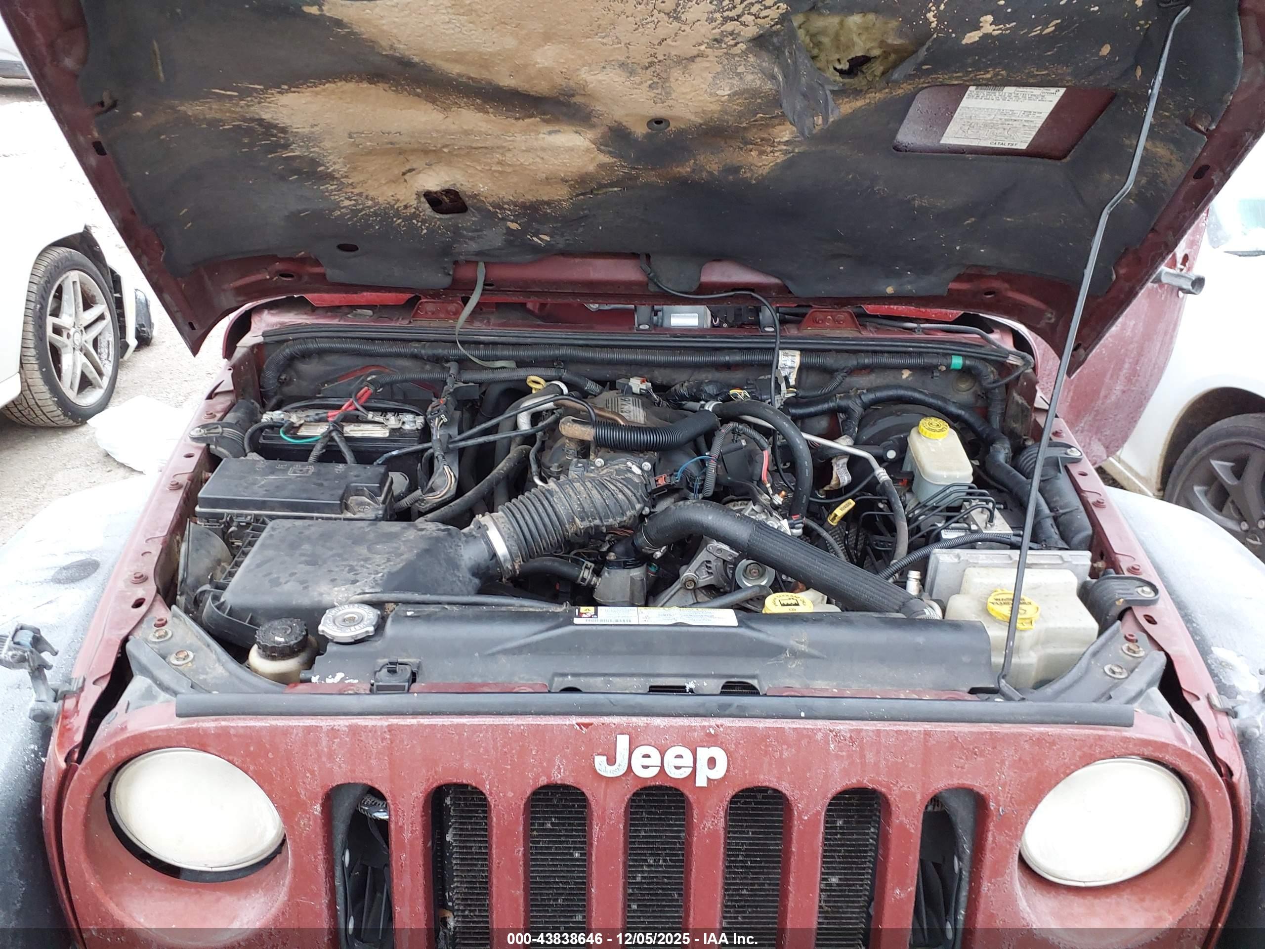 JEEP WRANGLER image 10