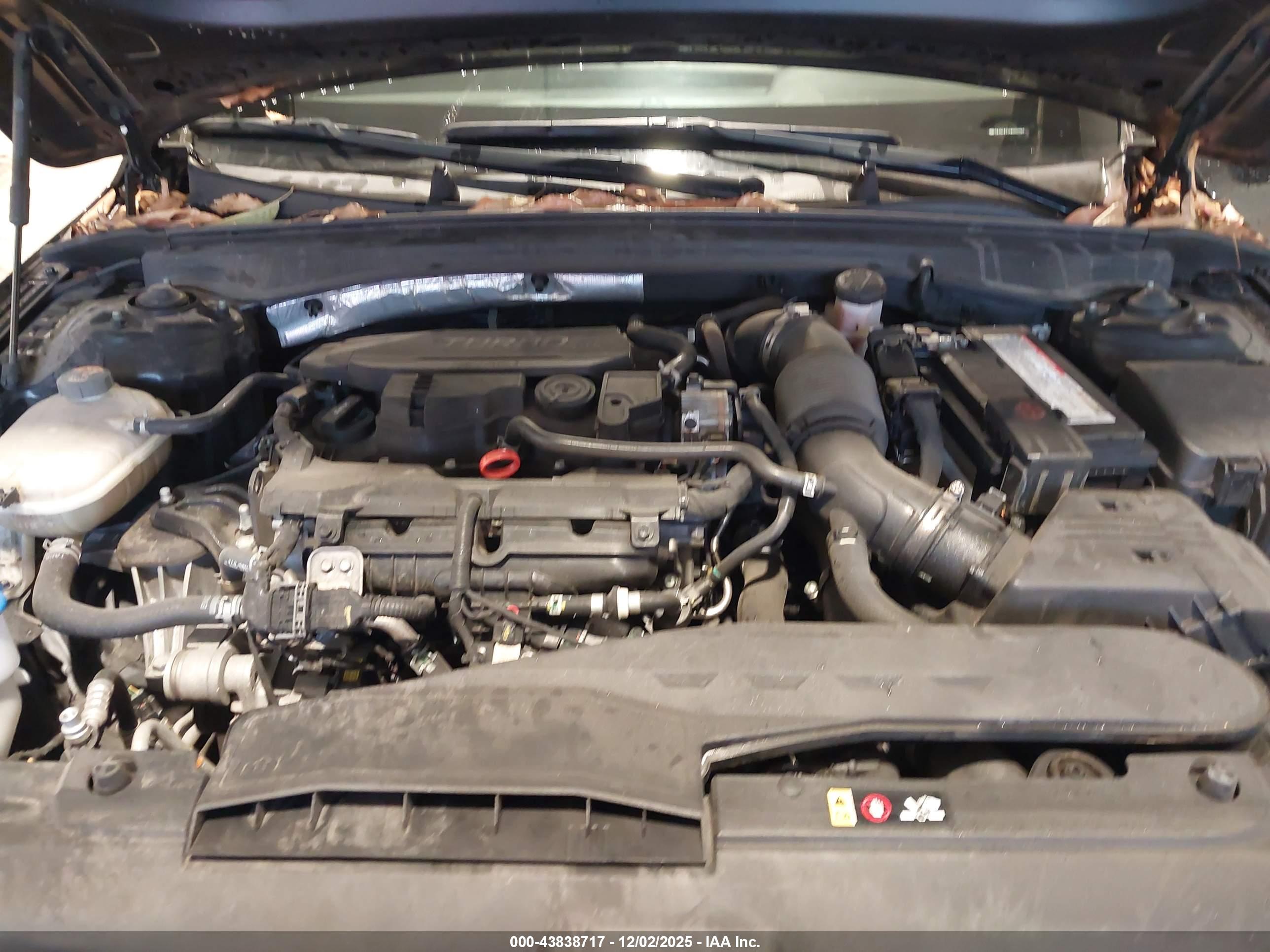 KIA K5 image 10