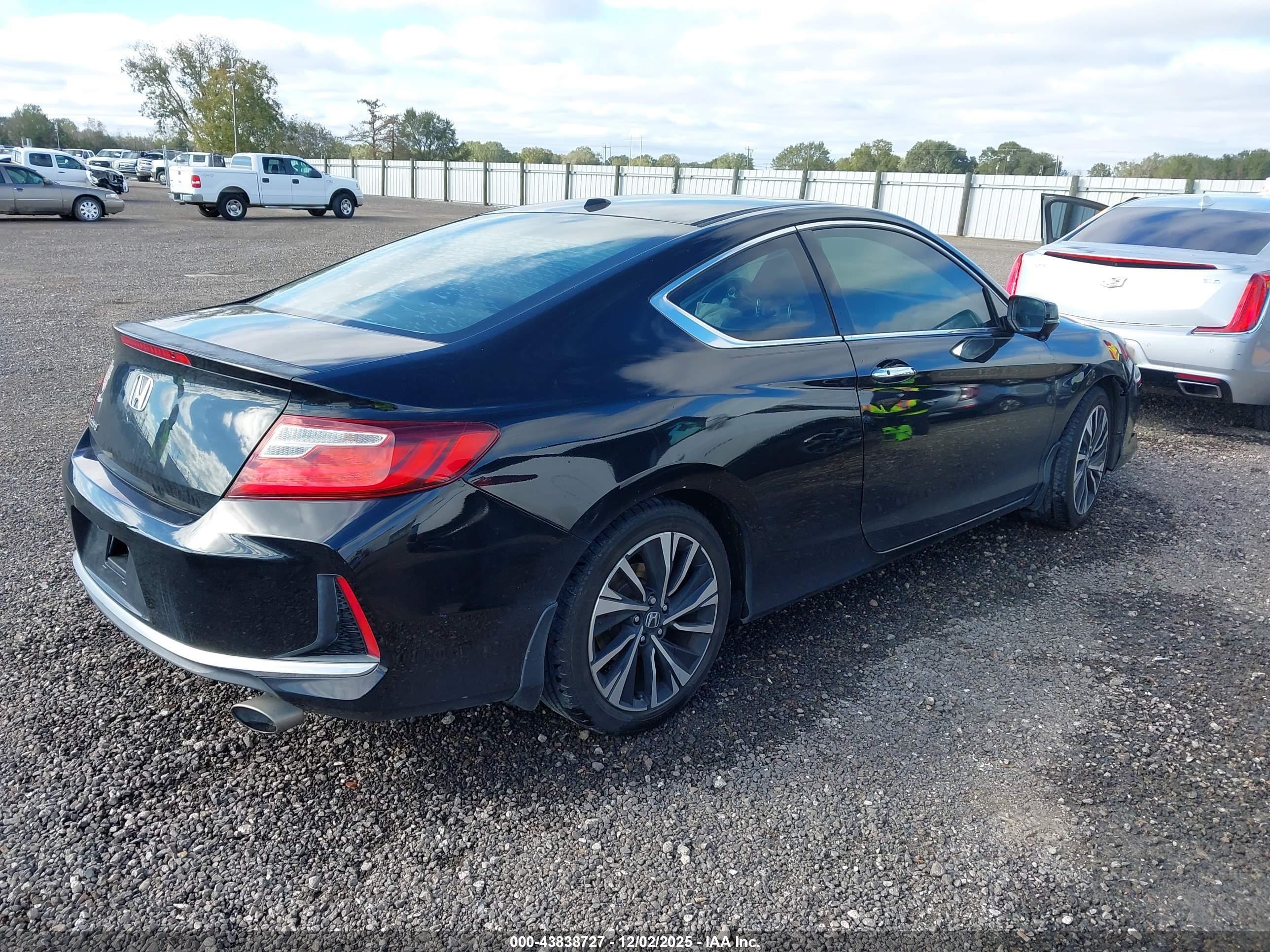 HONDA ACCORD image 4