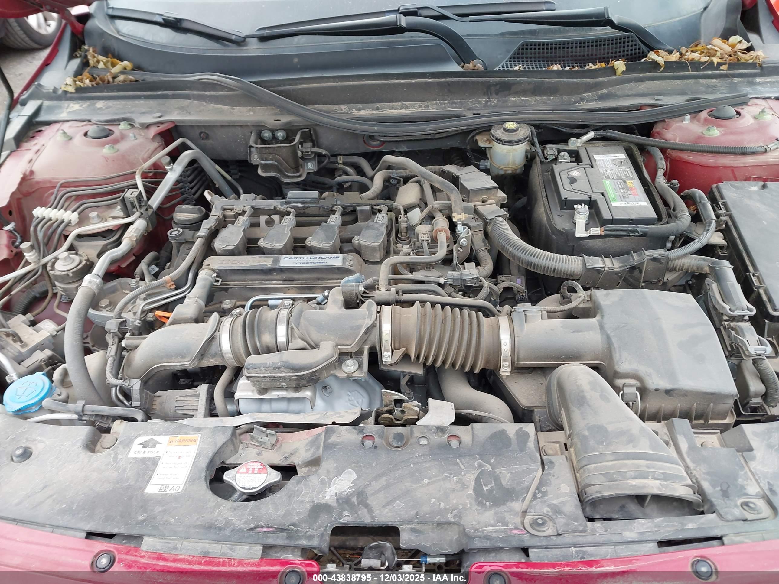 HONDA ACCORD image 10