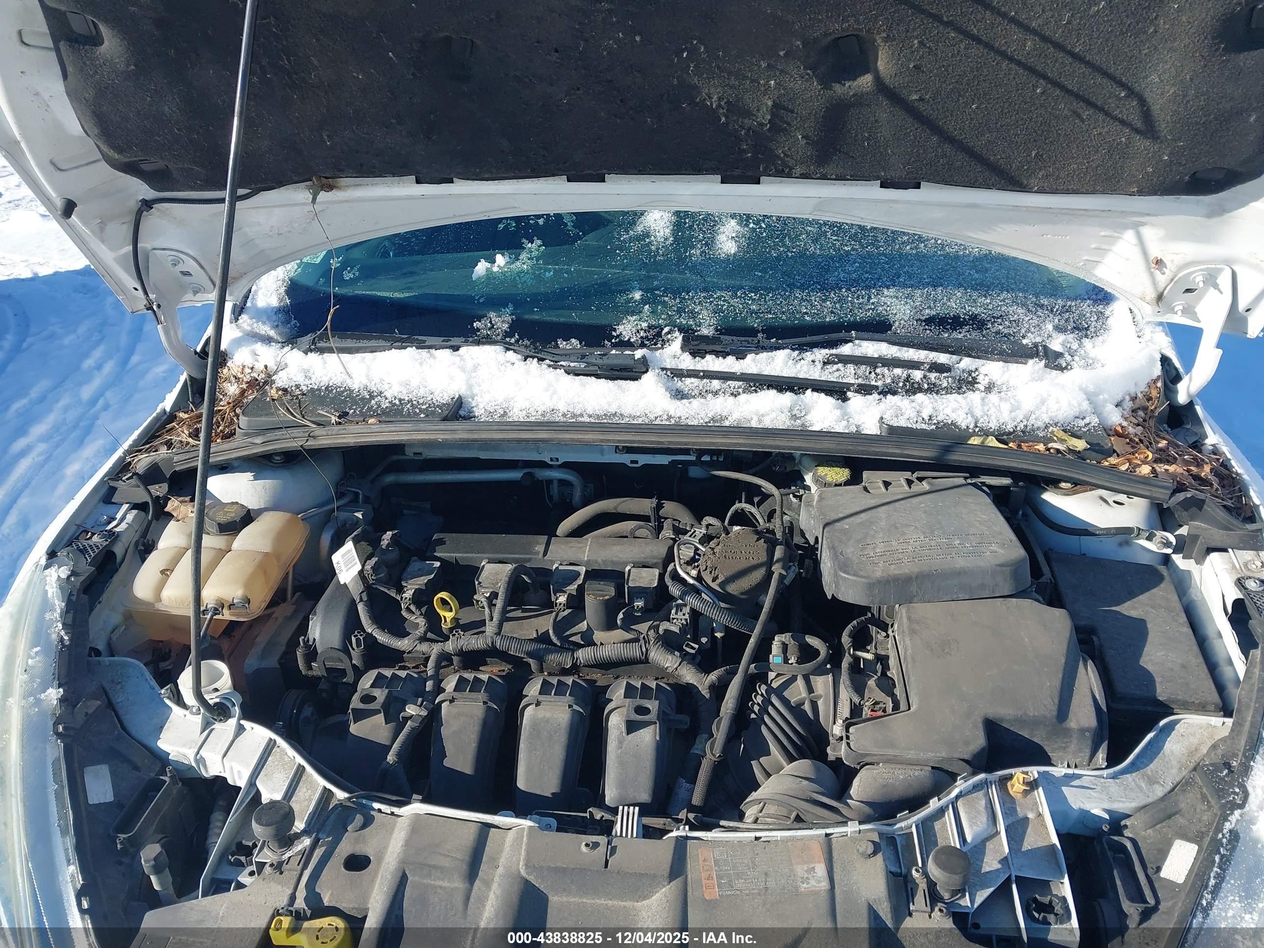 FORD FOCUS image 10