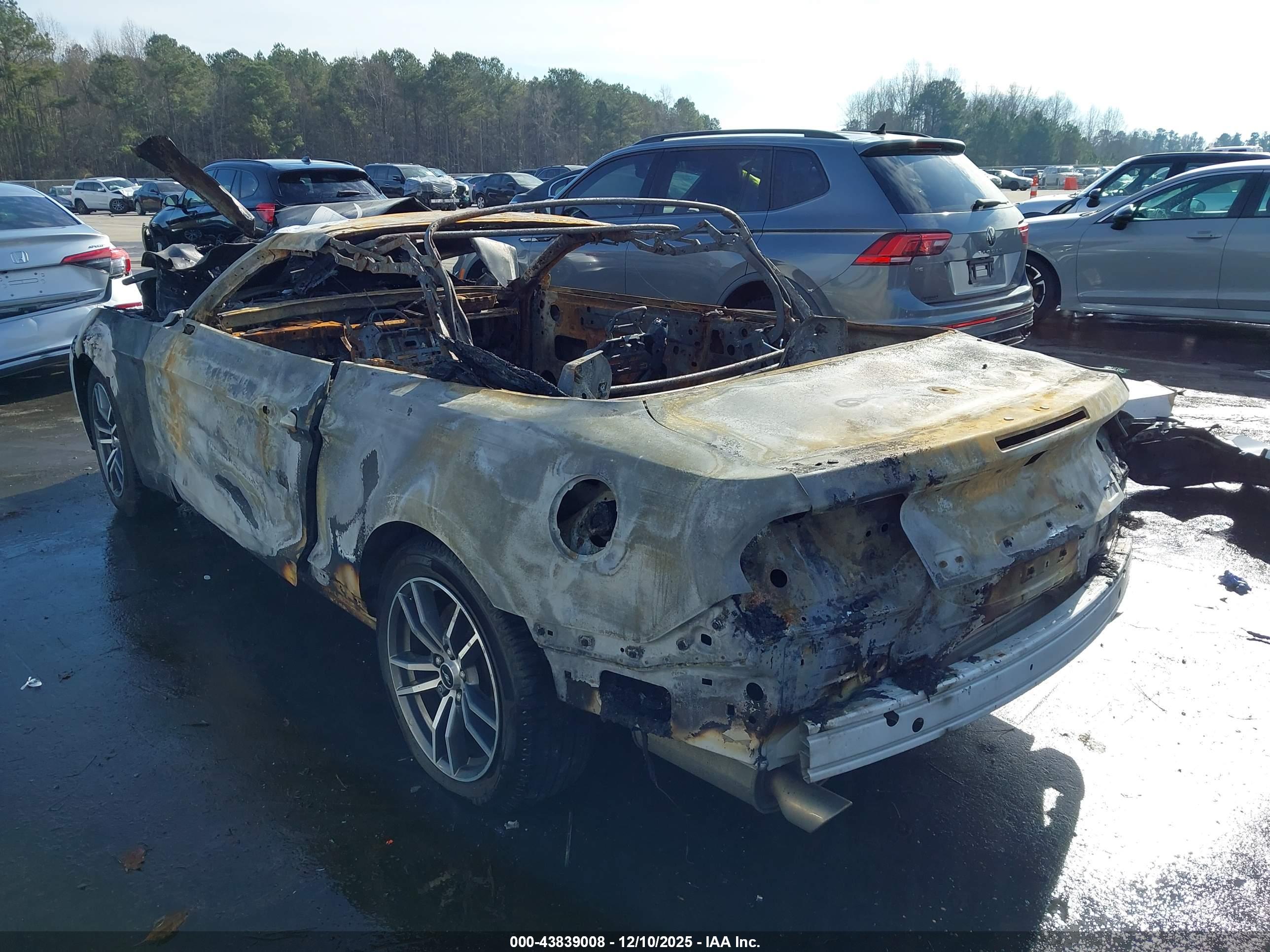 FORD MUSTANG image 3