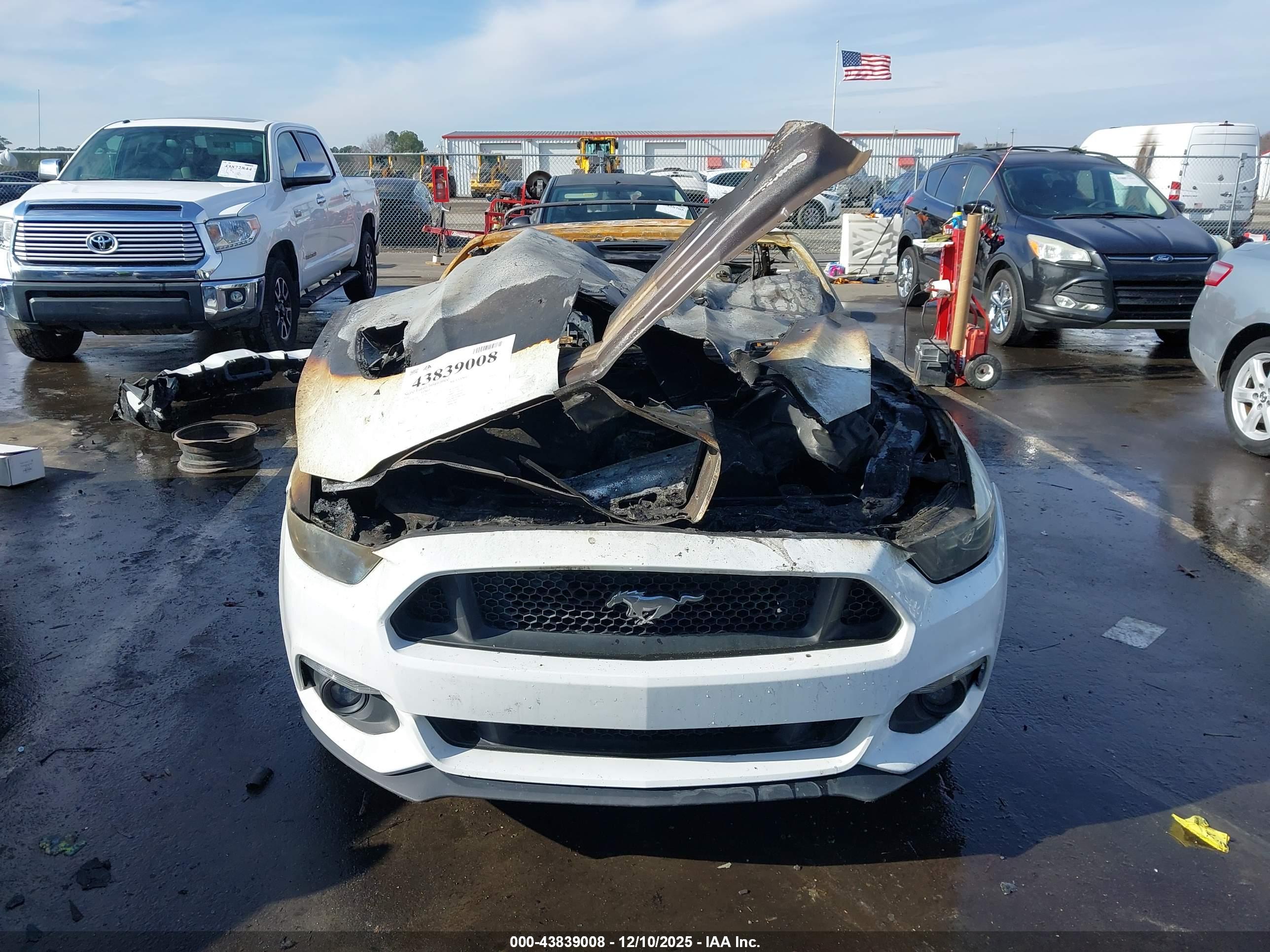 FORD MUSTANG image 6