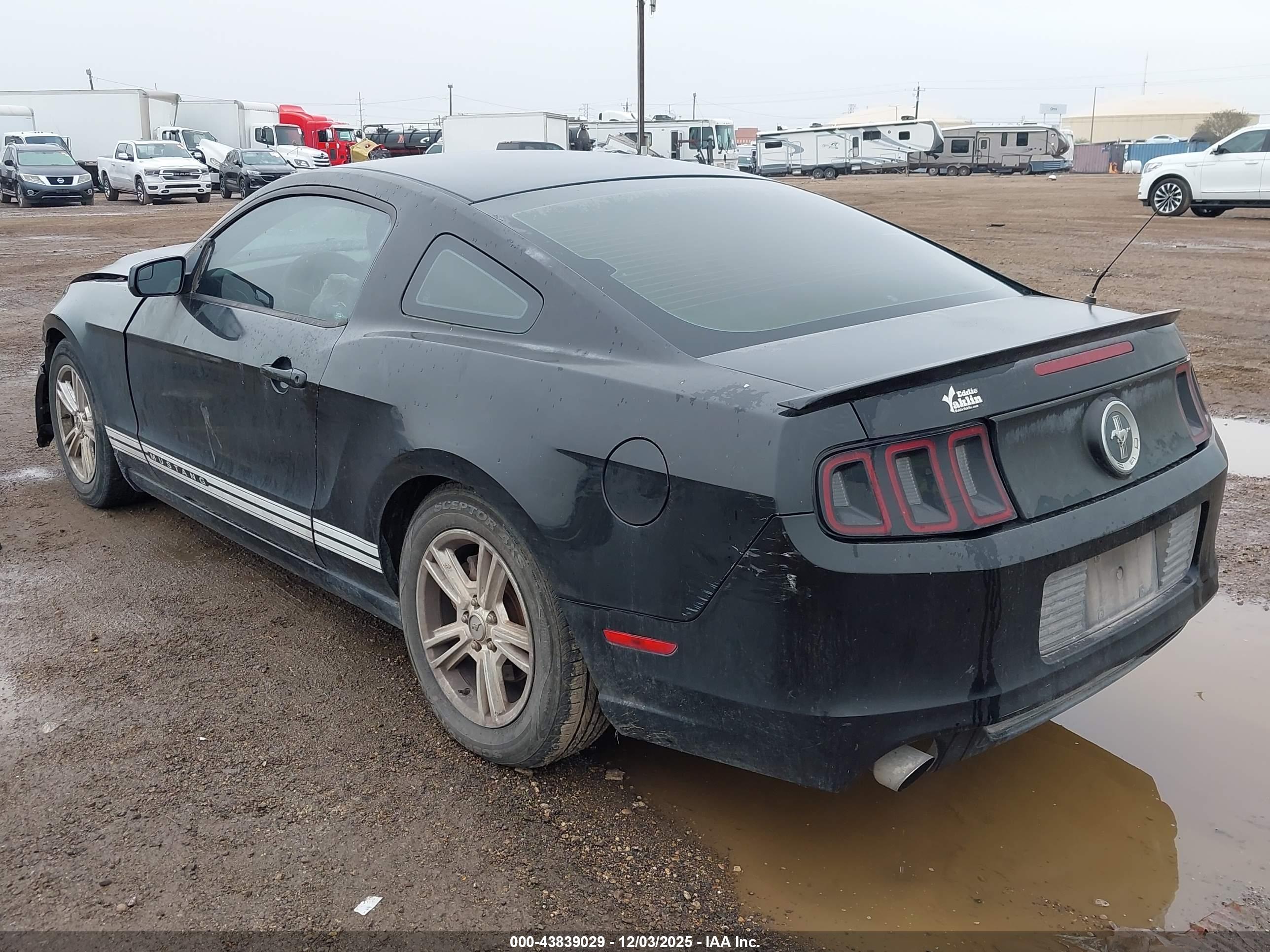 FORD MUSTANG image 3