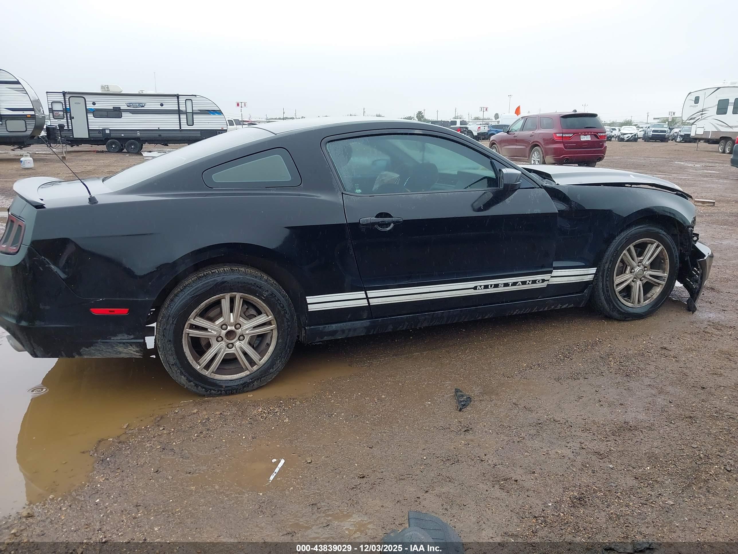 FORD MUSTANG image 4