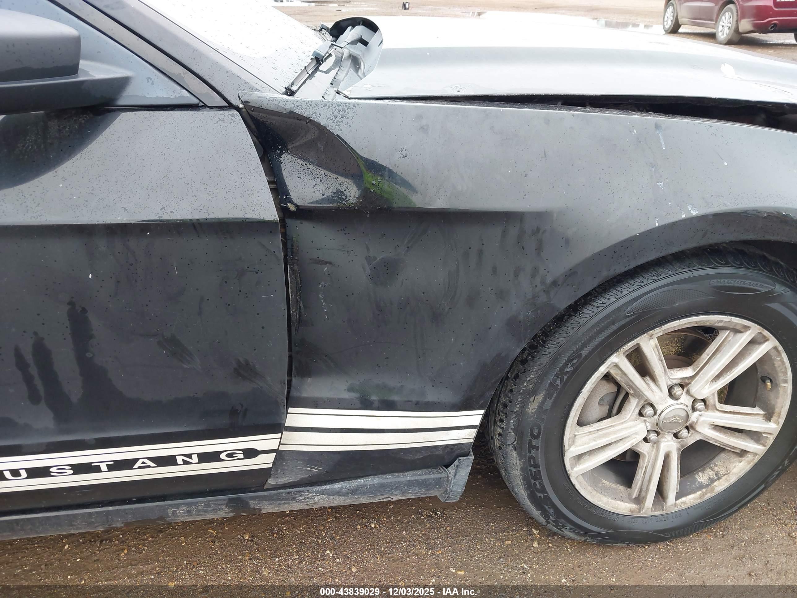 FORD MUSTANG image 6