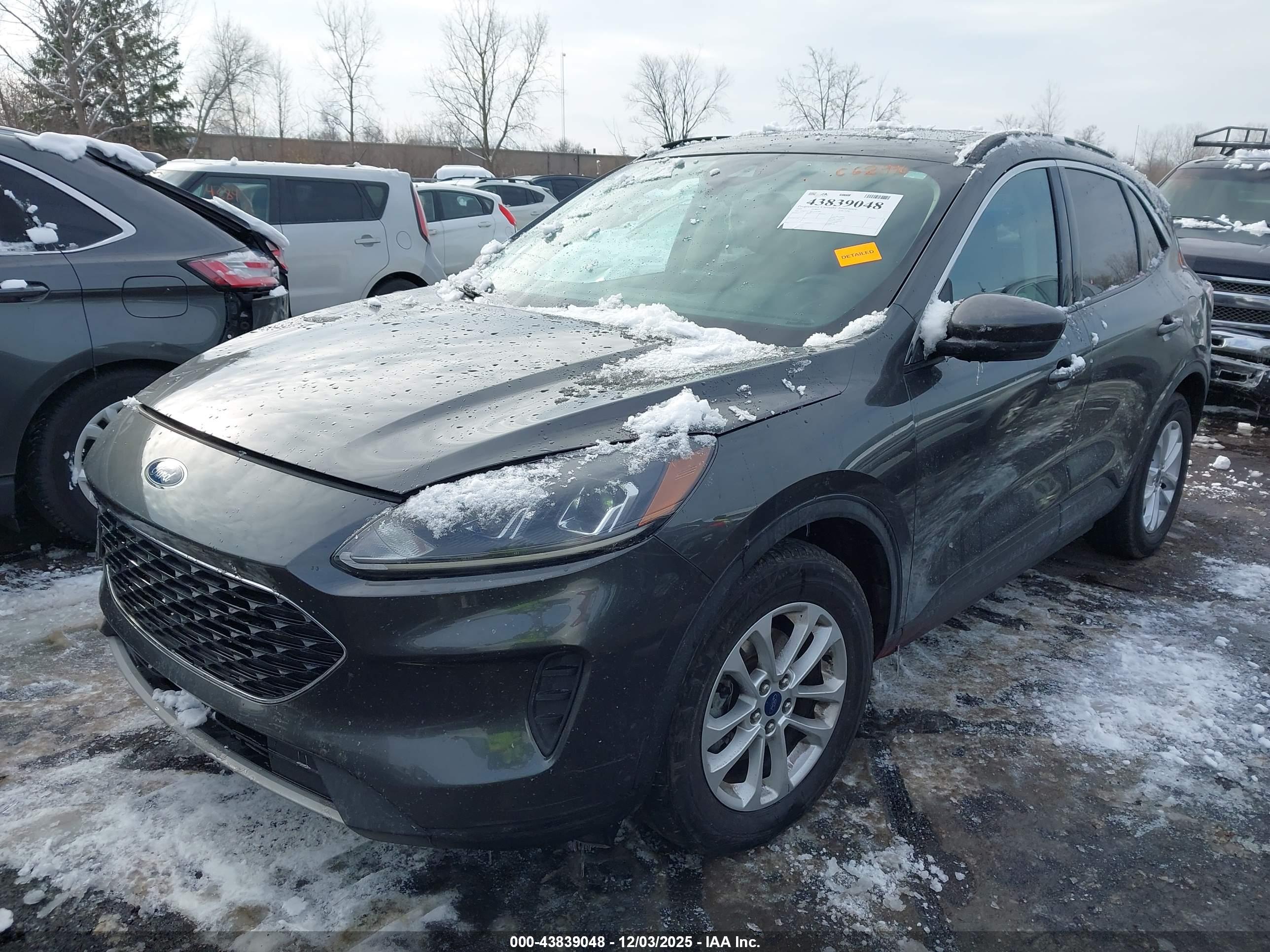 FORD ESCAPE image 2