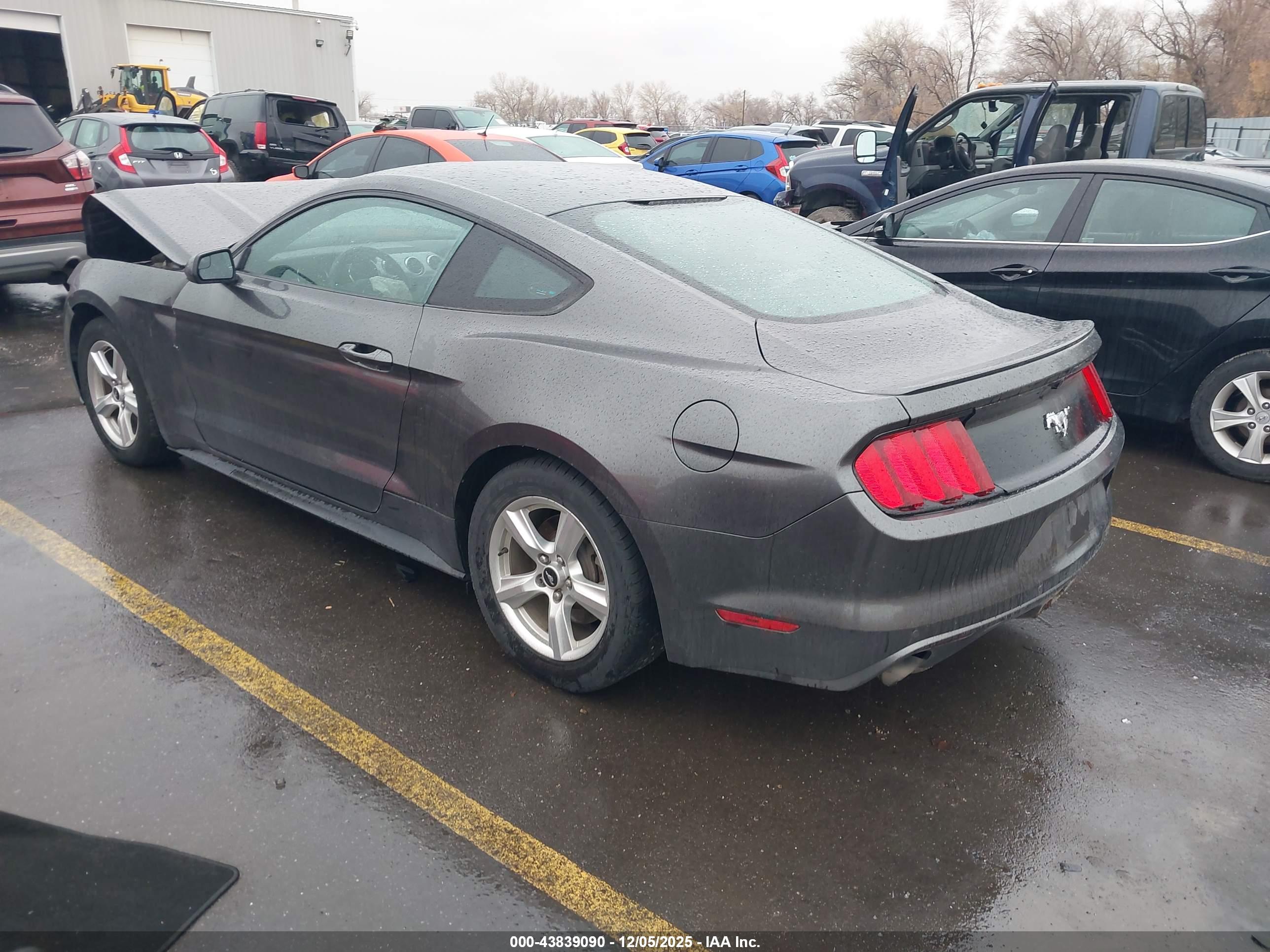 FORD MUSTANG image 3