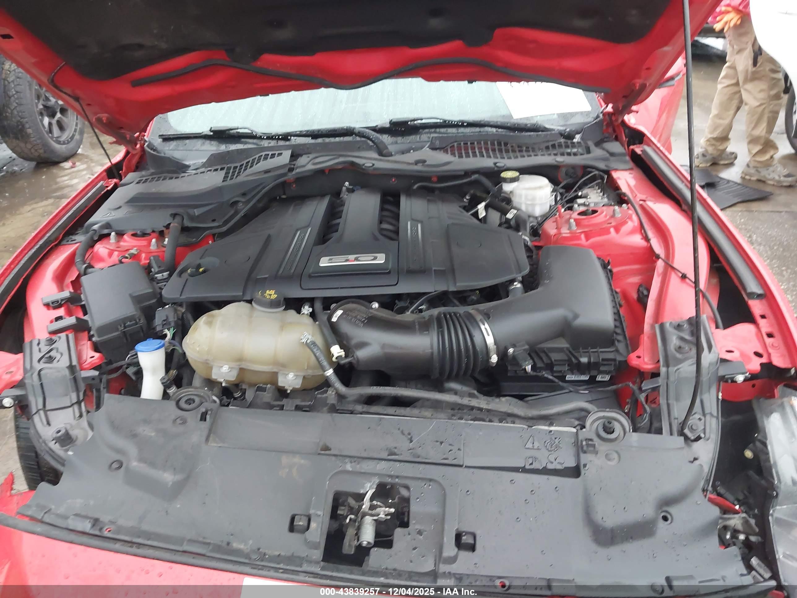 FORD MUSTANG image 10