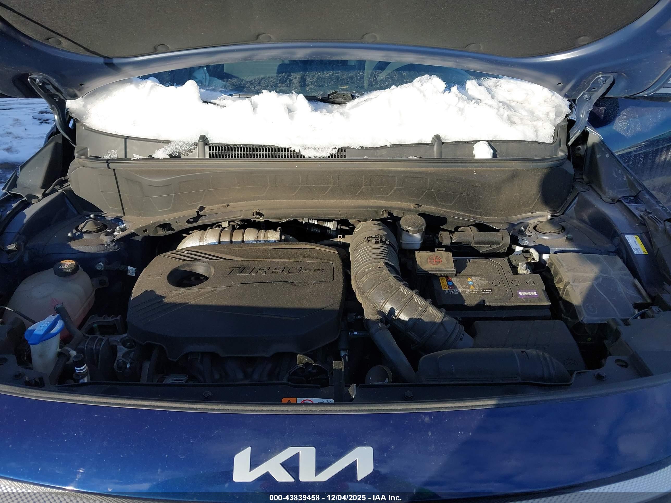 KIA SELTOS image 10