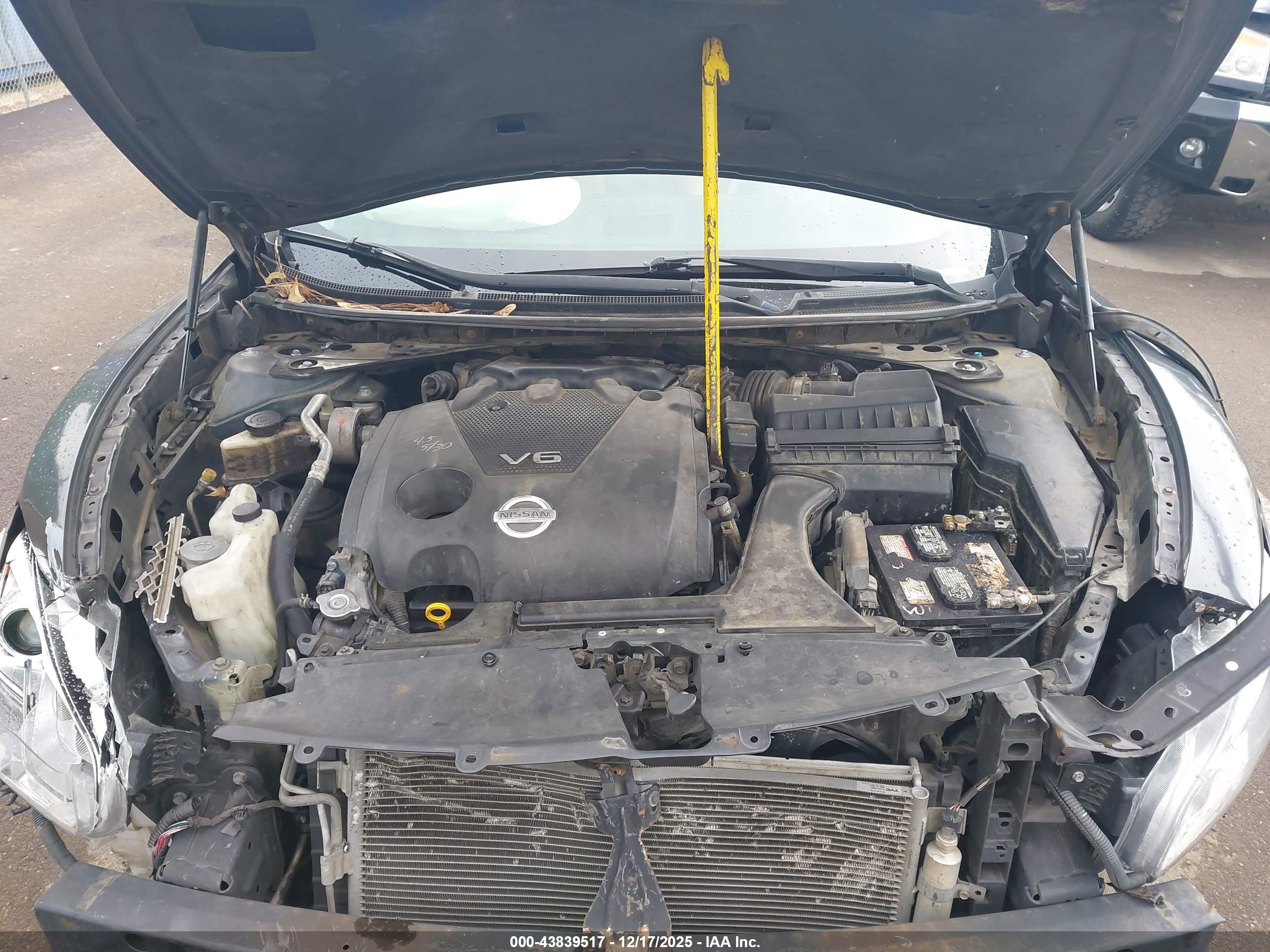 NISSAN MAXIMA image 10