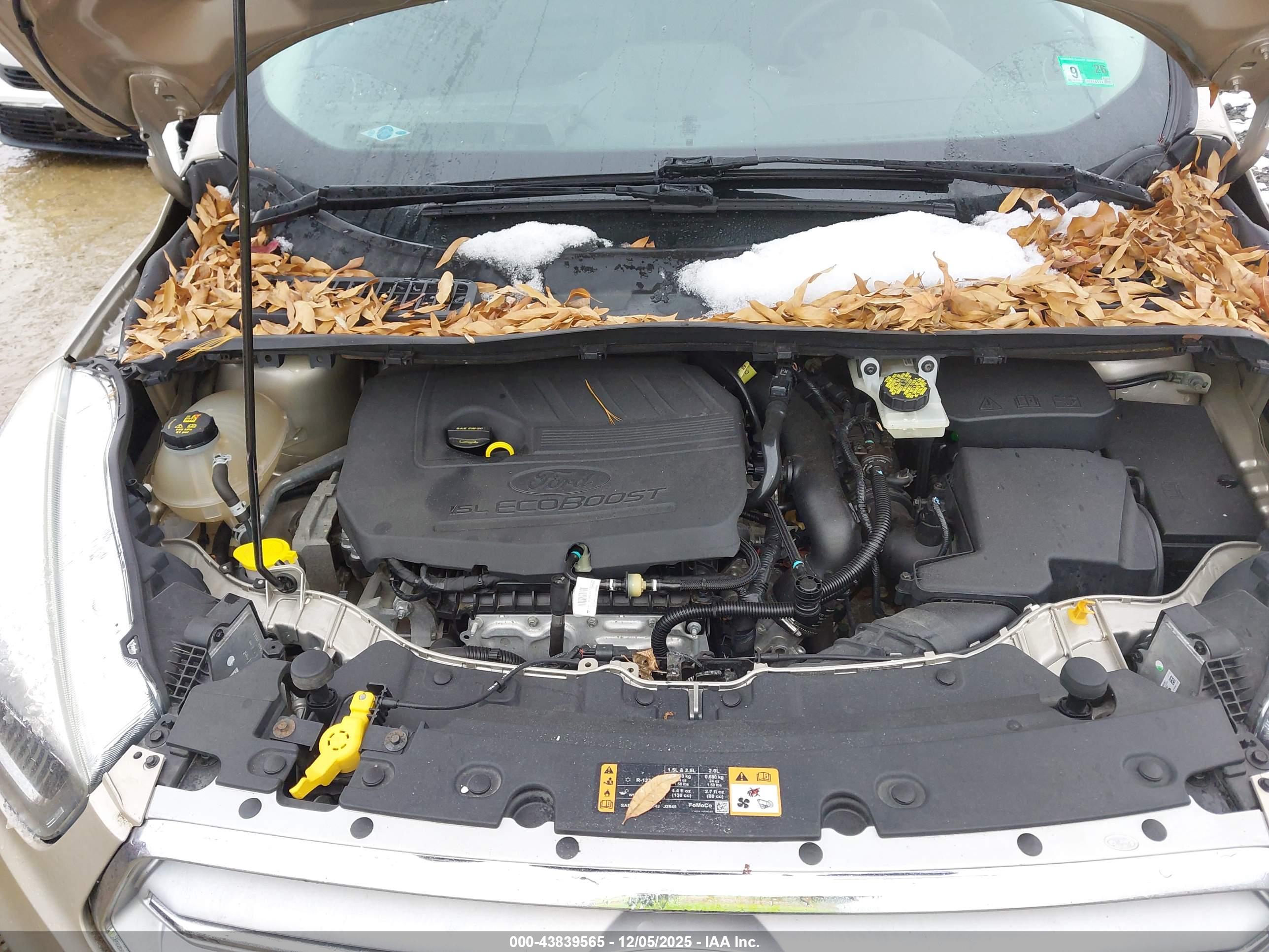 FORD ESCAPE image 10